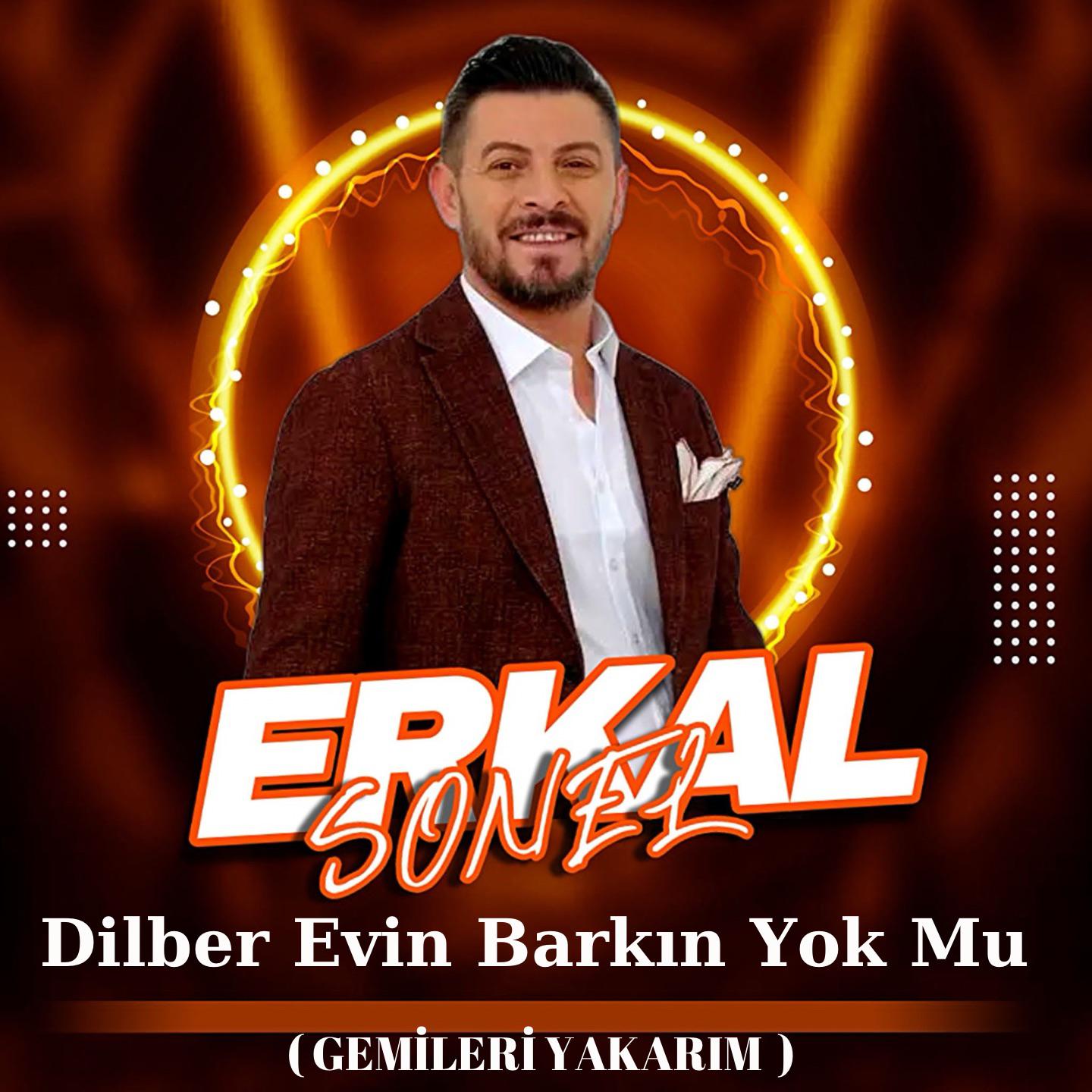 Постер альбома Dilber Evin Barkın Yok Mu