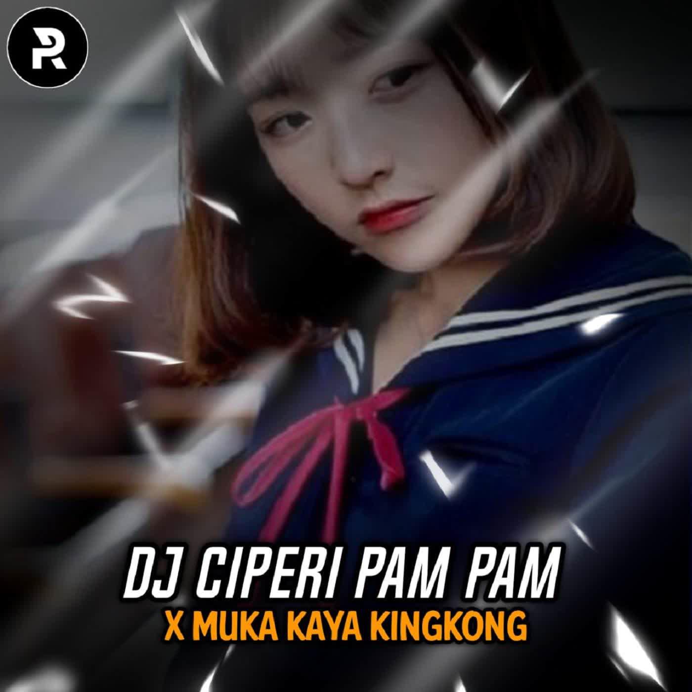 Постер альбома DJ Ciperi Pam Pam X Muka Kaya Kingkong - Inst