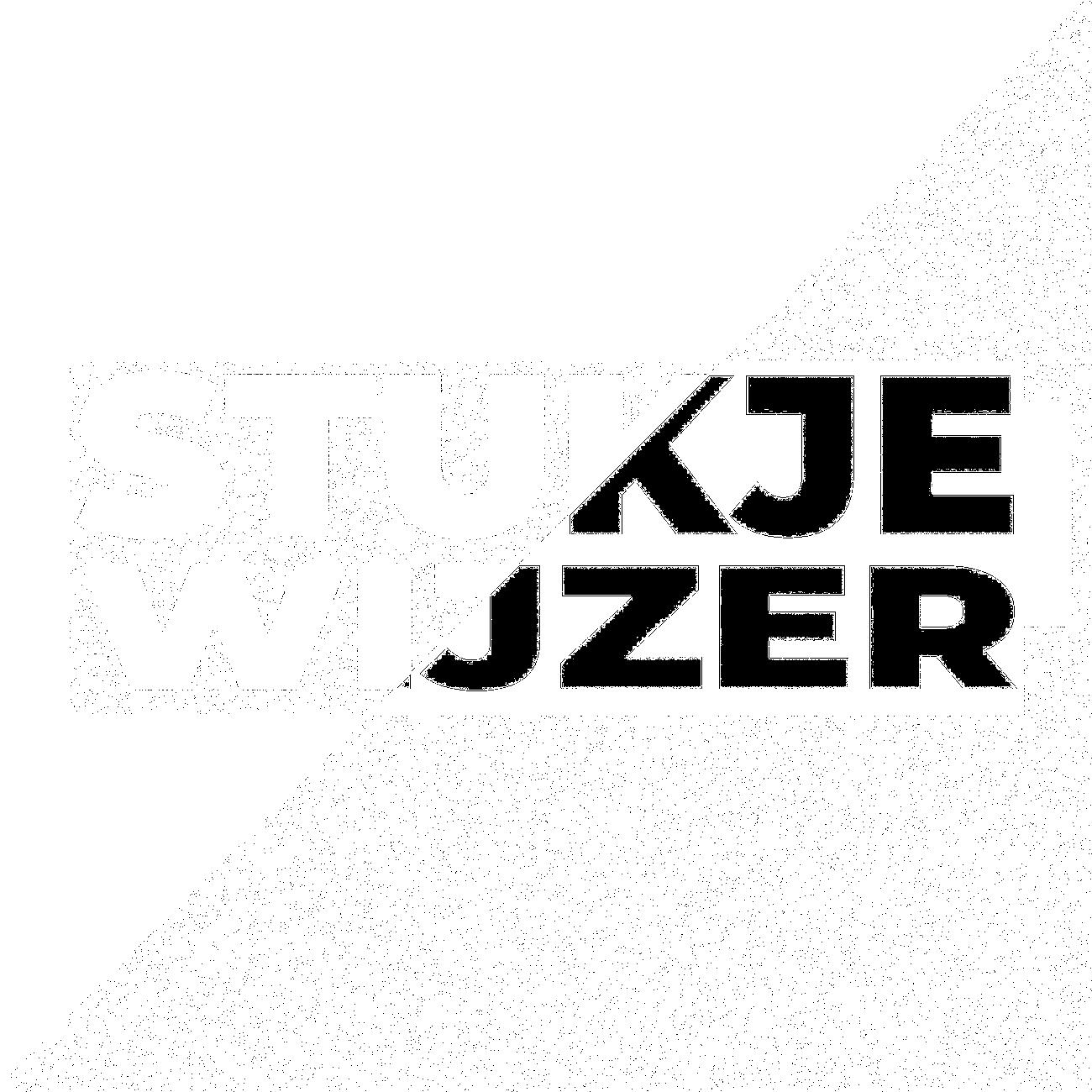 Постер альбома Stukje Wijzer