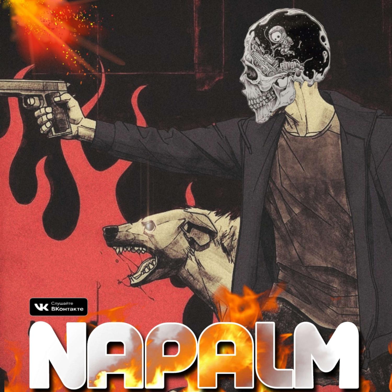 Постер альбома NAPALM