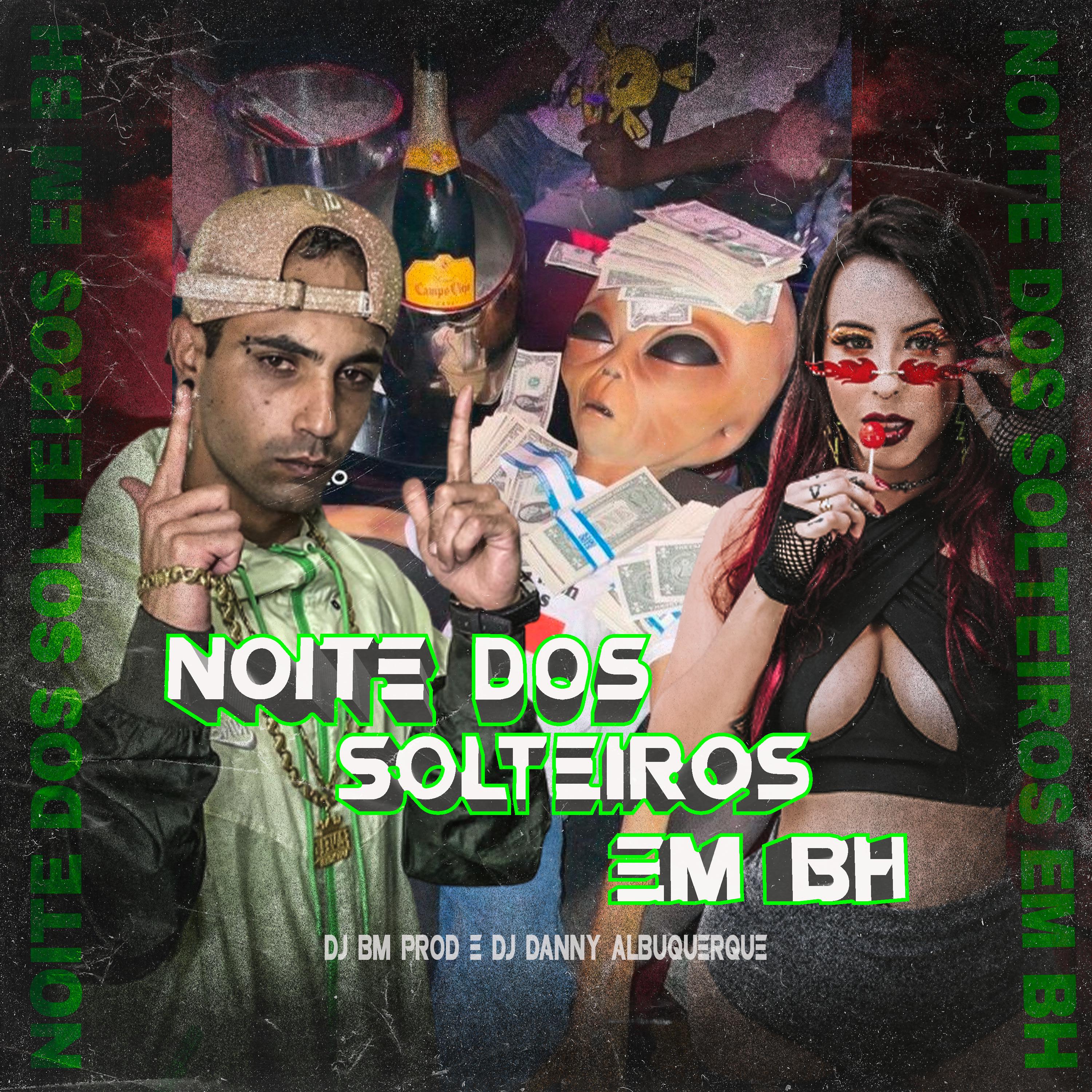 Постер альбома Noite dos Solteiros em BH