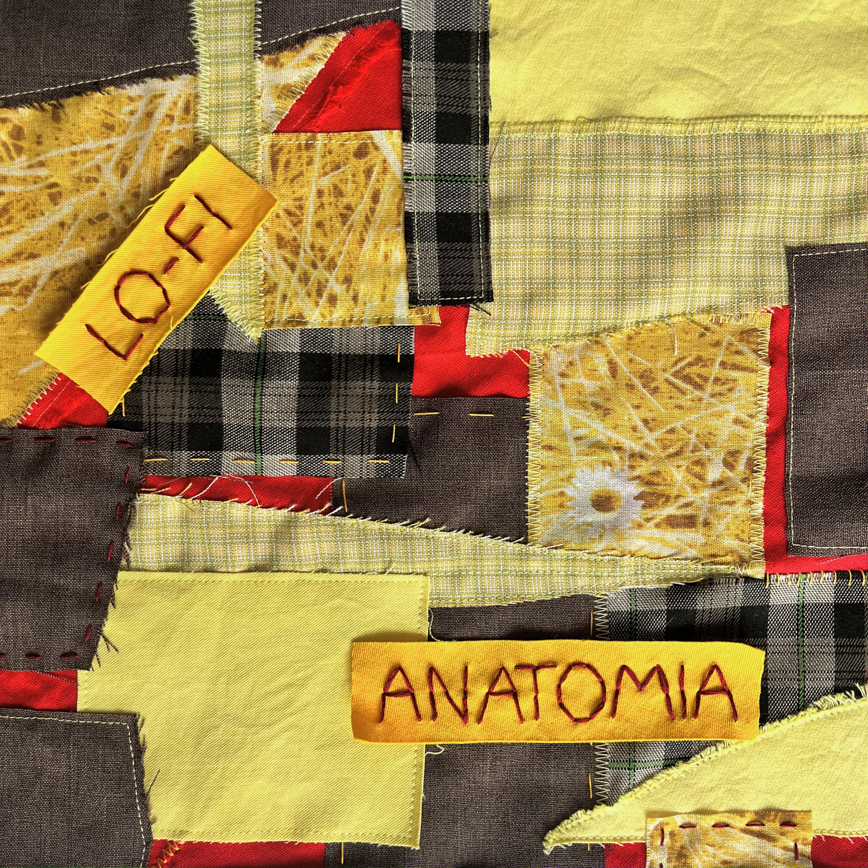 Постер альбома Lo-Fi Anatomia