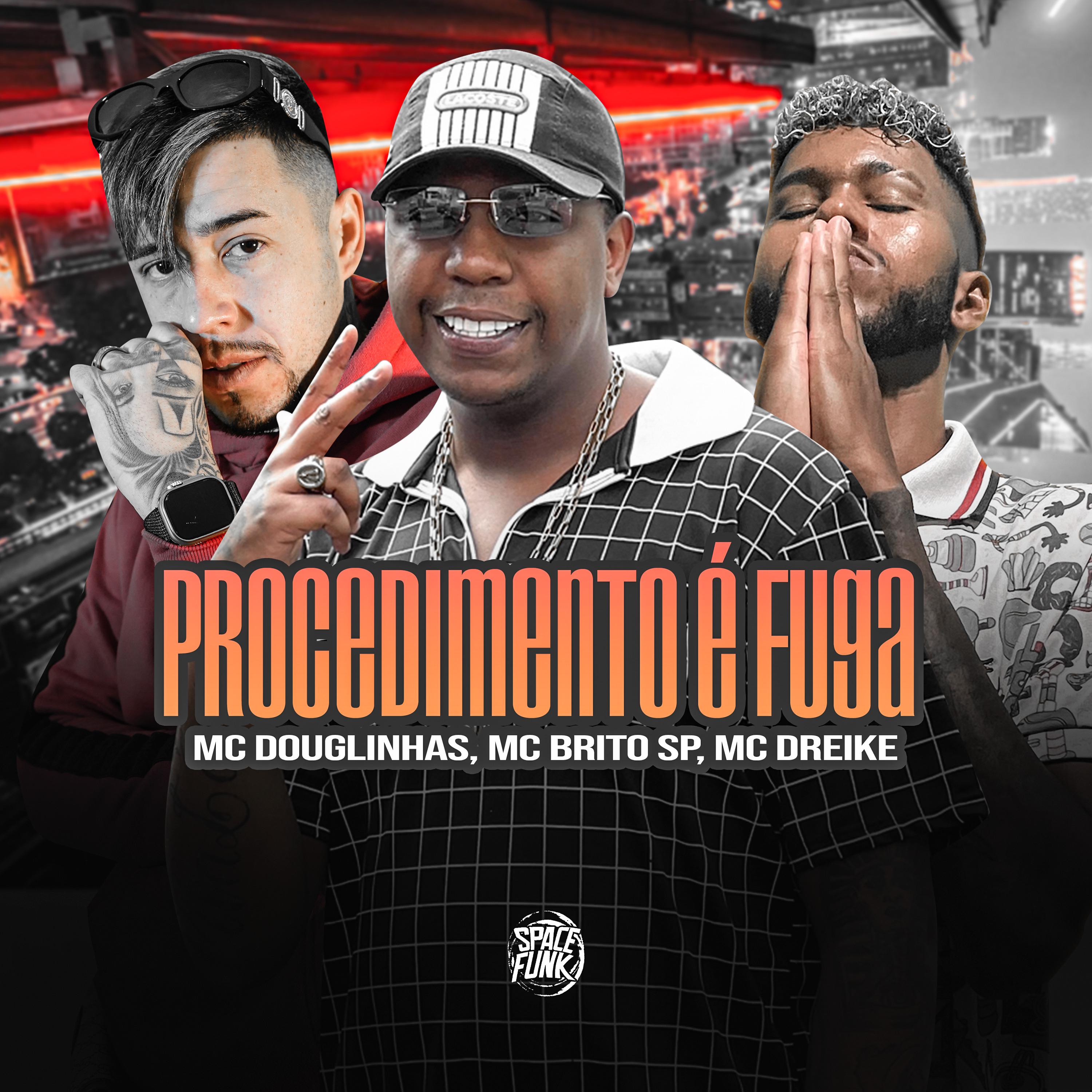 Постер альбома Procedimento É Fuga
