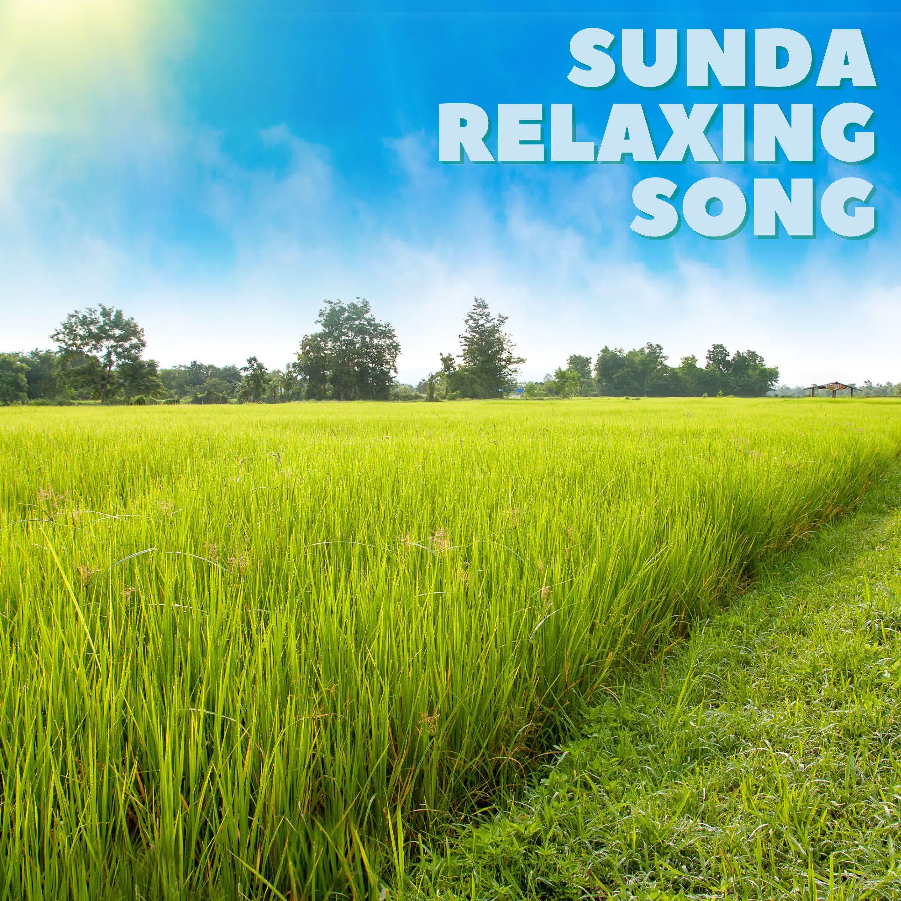 Постер альбома Sunda Relaxing Song - Inst