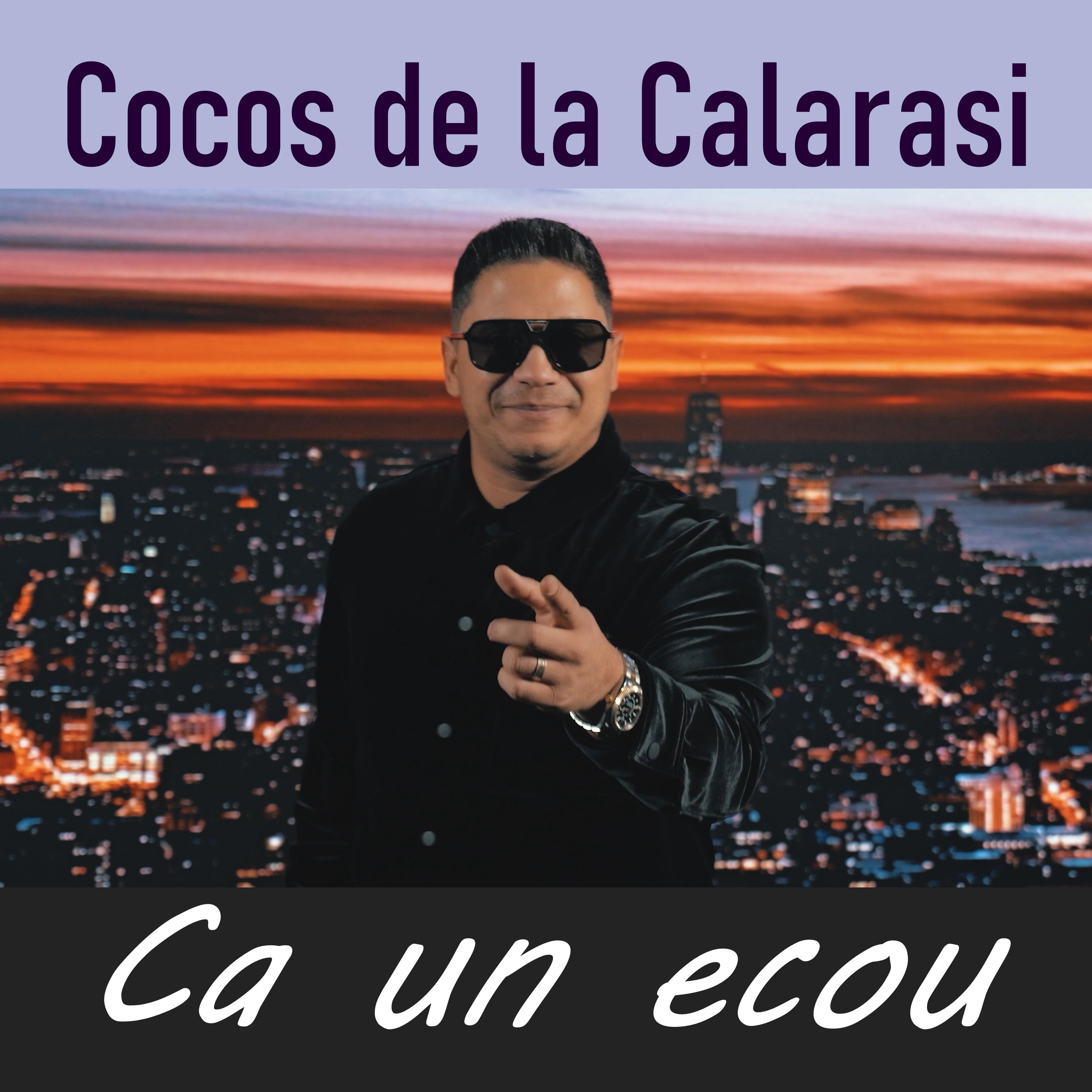 Постер альбома Ca un ecou
