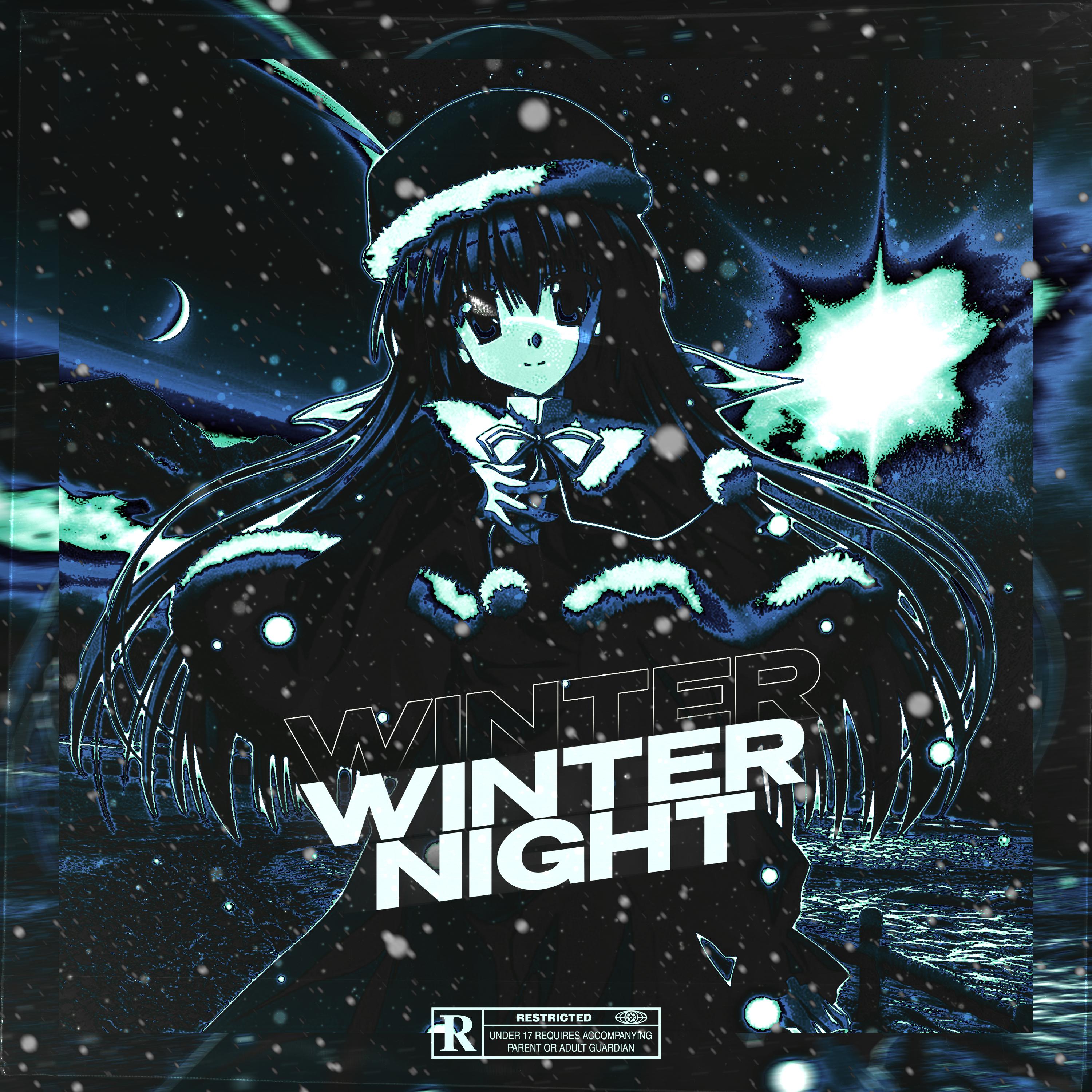 Постер альбома winter night