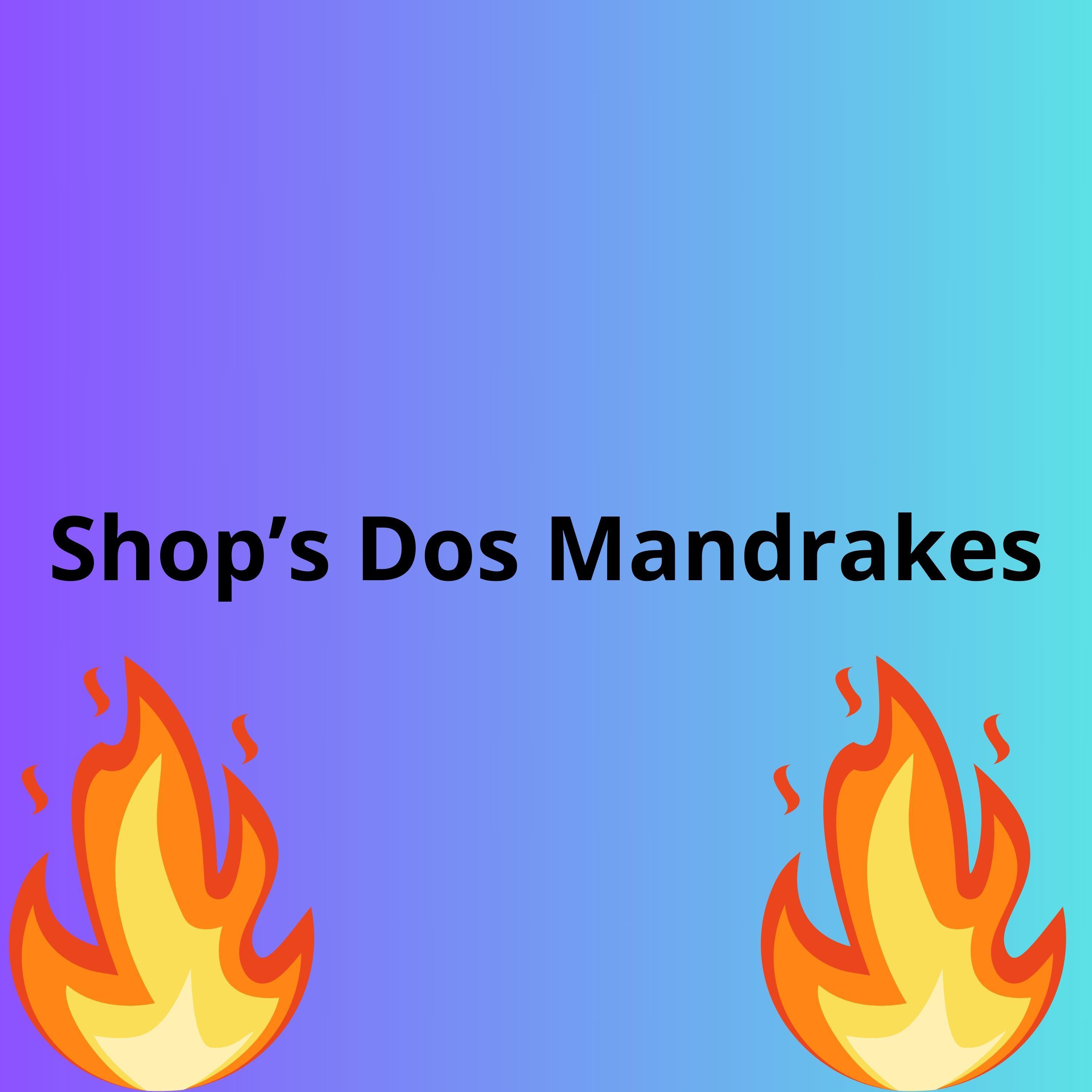 Постер альбома Shop's Dos Mandrakes