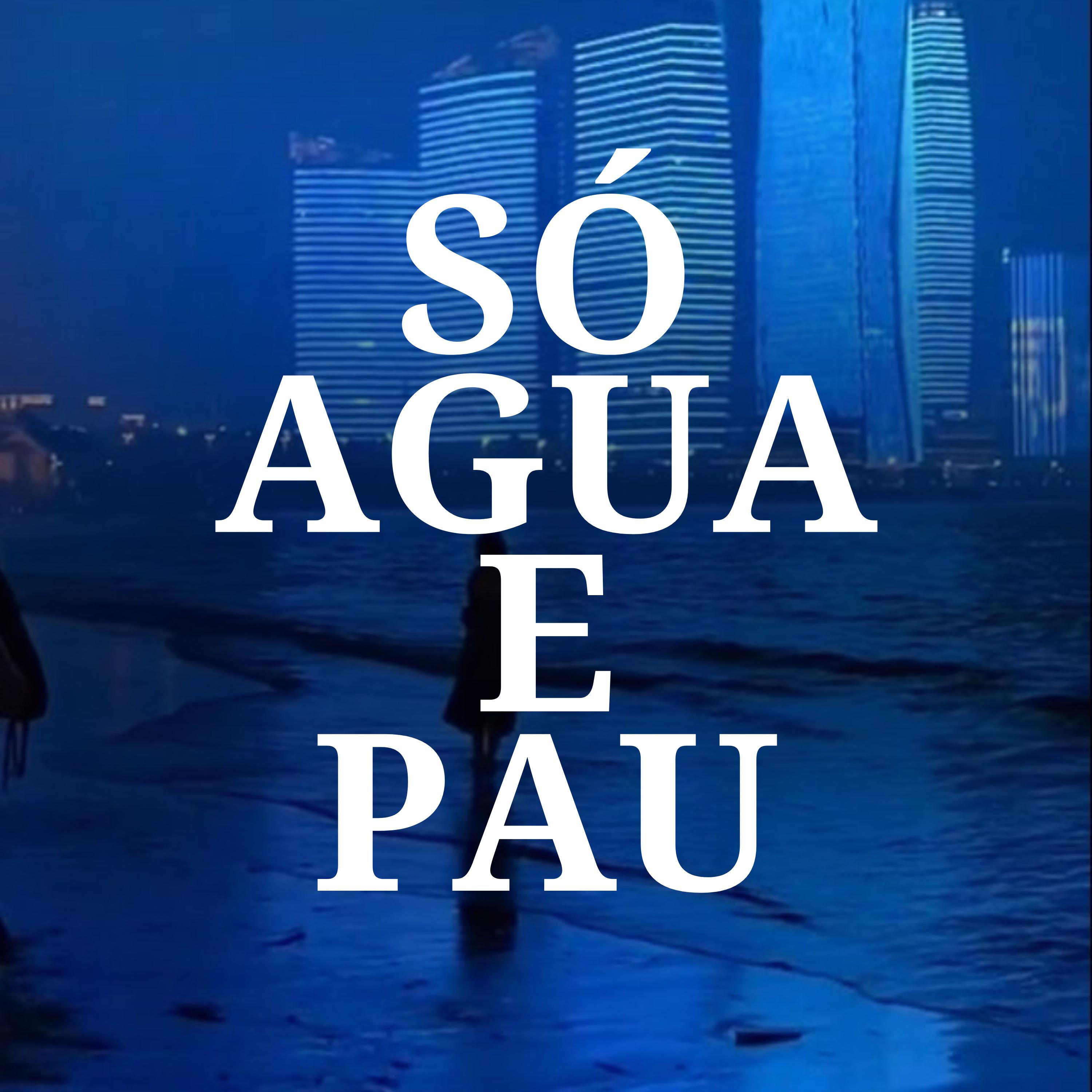 Постер альбома Só Agua e Pau