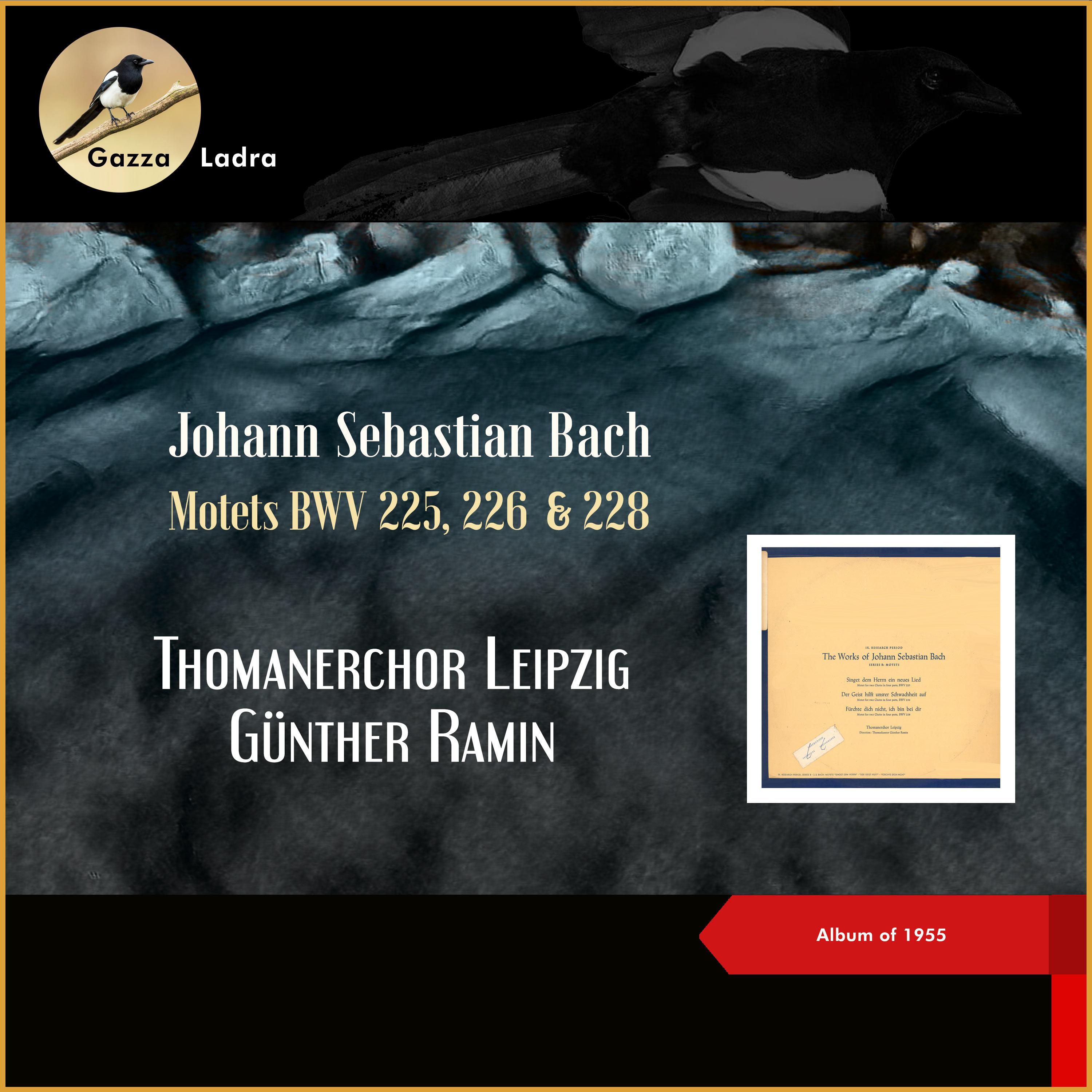 Постер альбома Johann Sebastian Bach: Motets BWV 225, 226 & 228