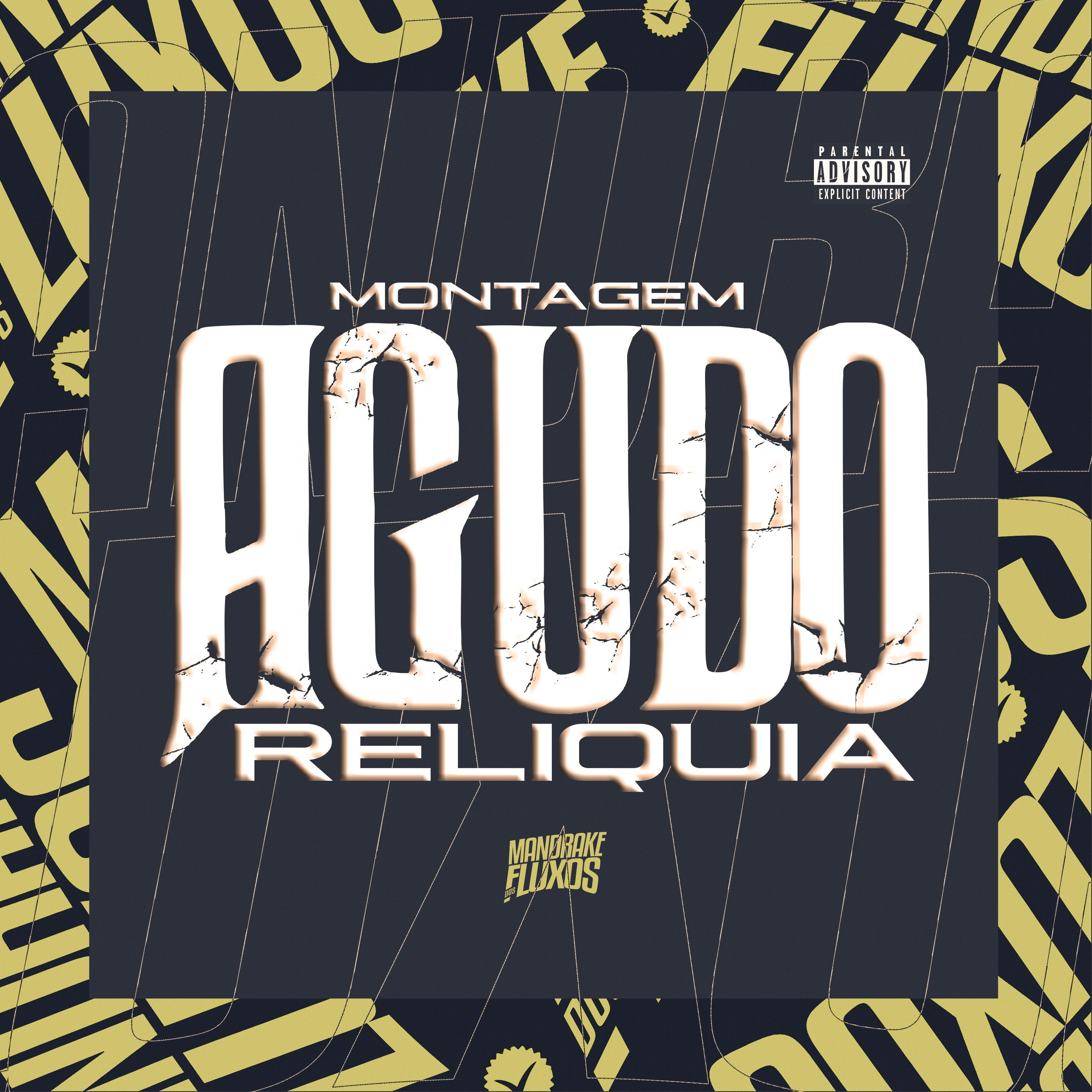 Постер альбома Montagem Agudo Reliquia