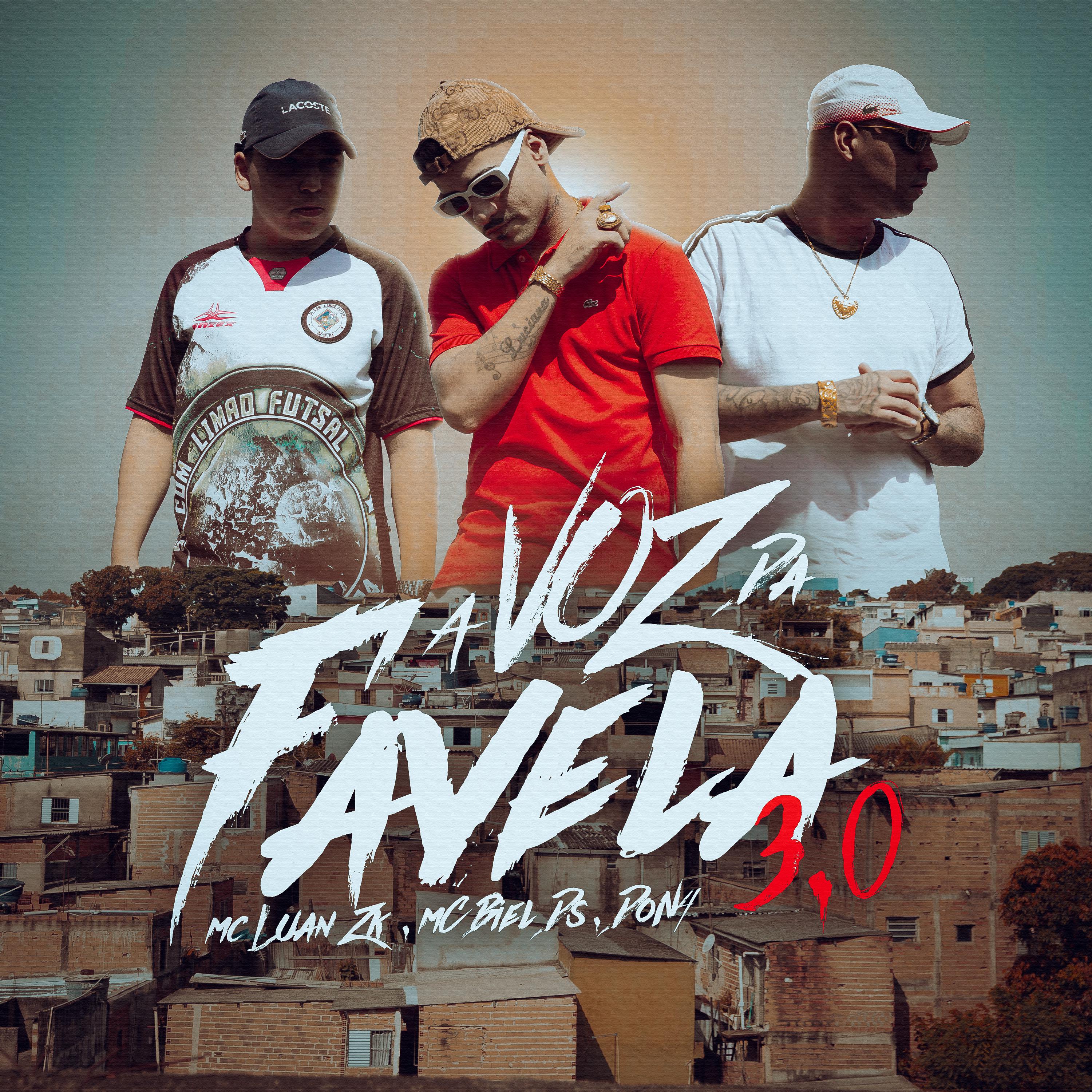 Постер альбома A Voz da Favela 3.0