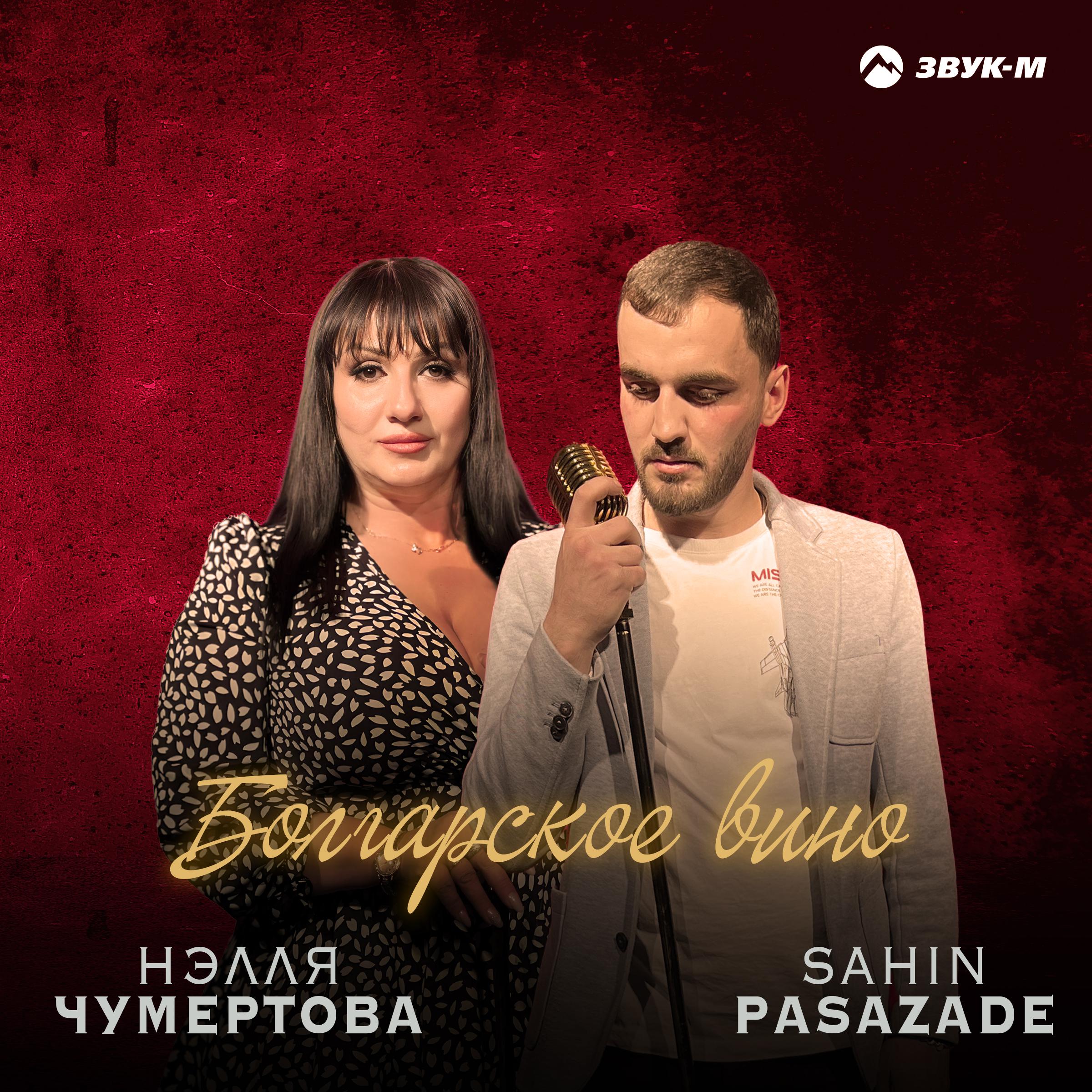 Постер альбома Болгарское вино