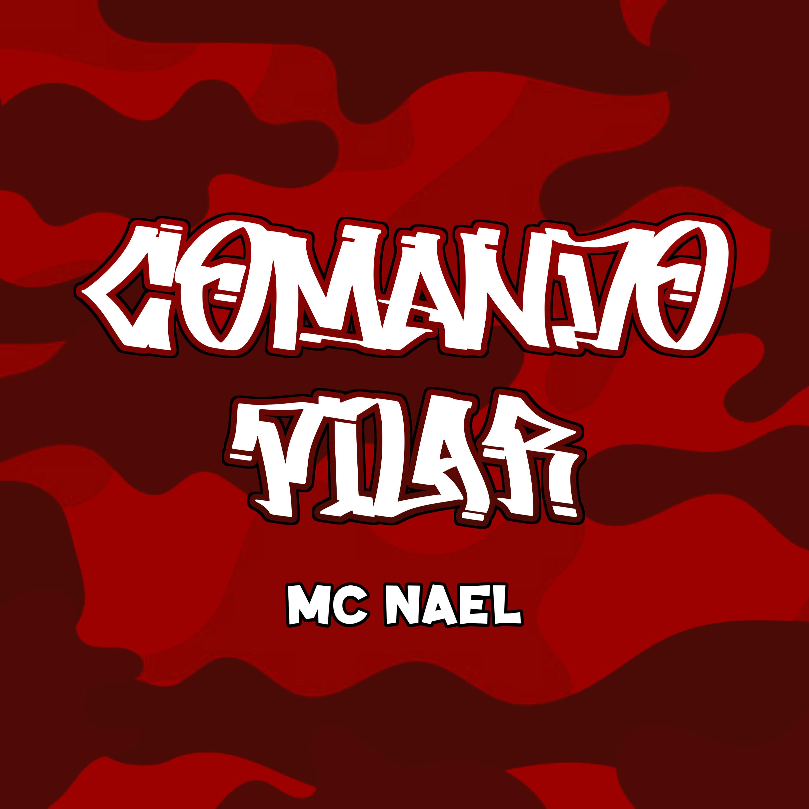 Постер альбома Comando Pilar