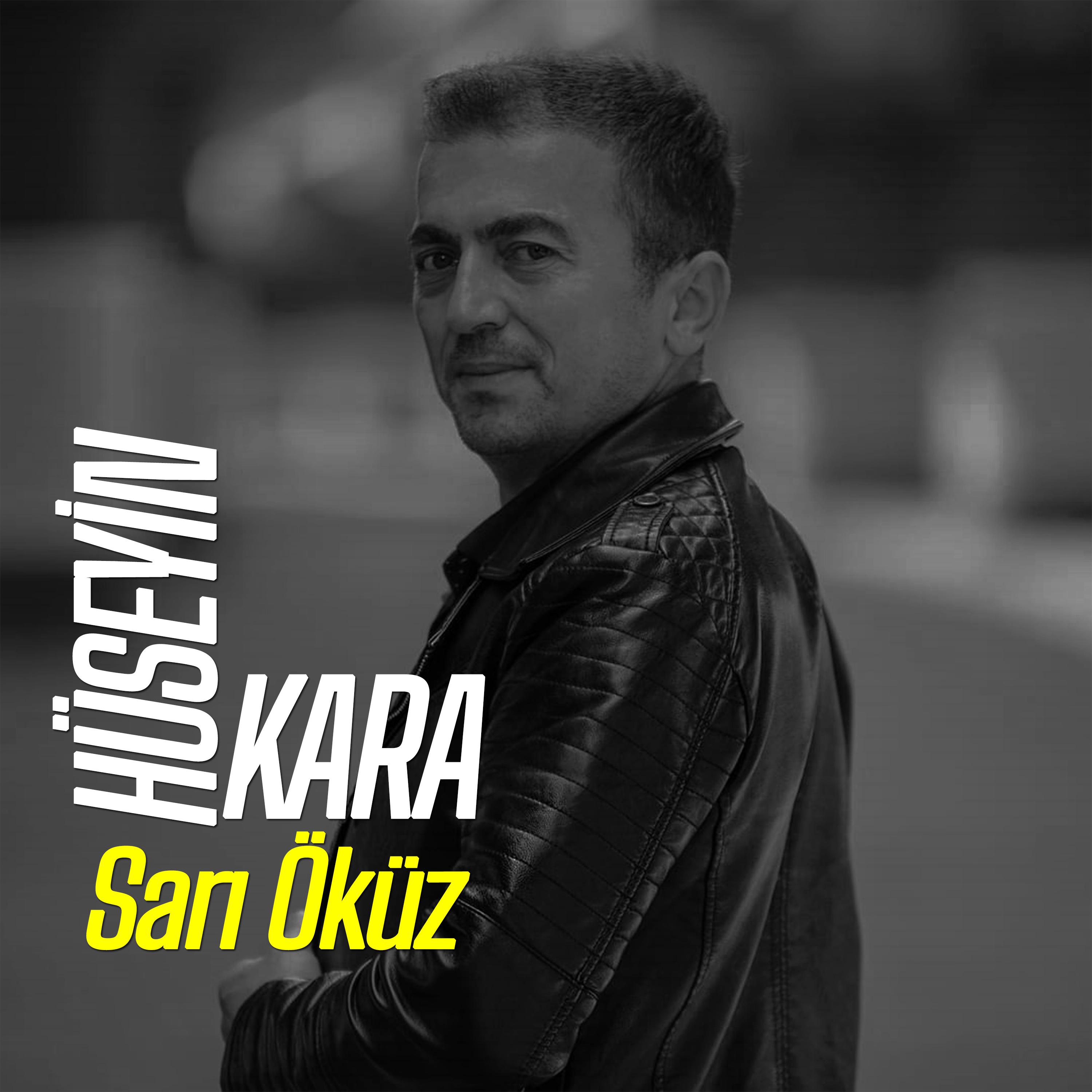 Постер альбома Sarı Öküz