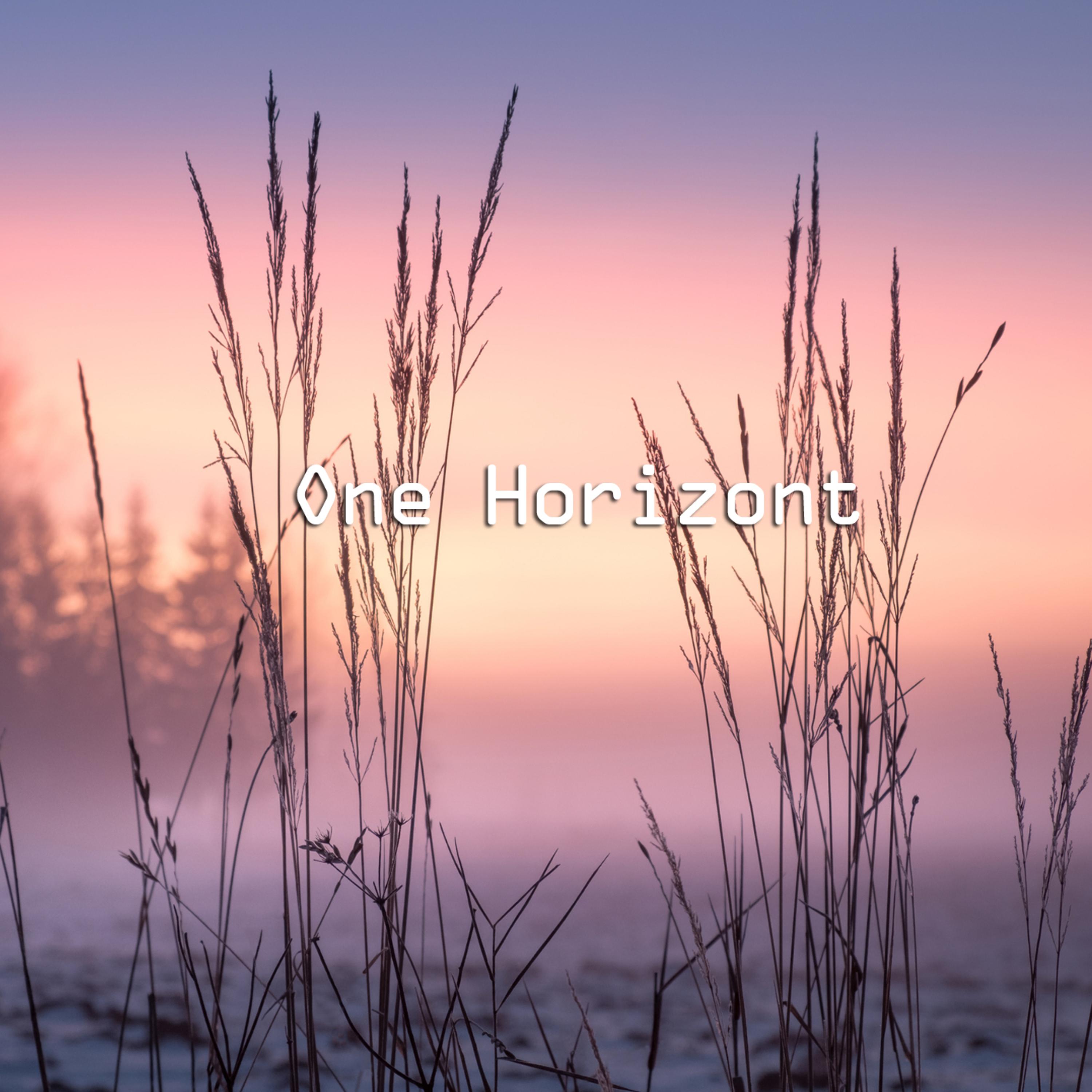 Постер альбома One horizont