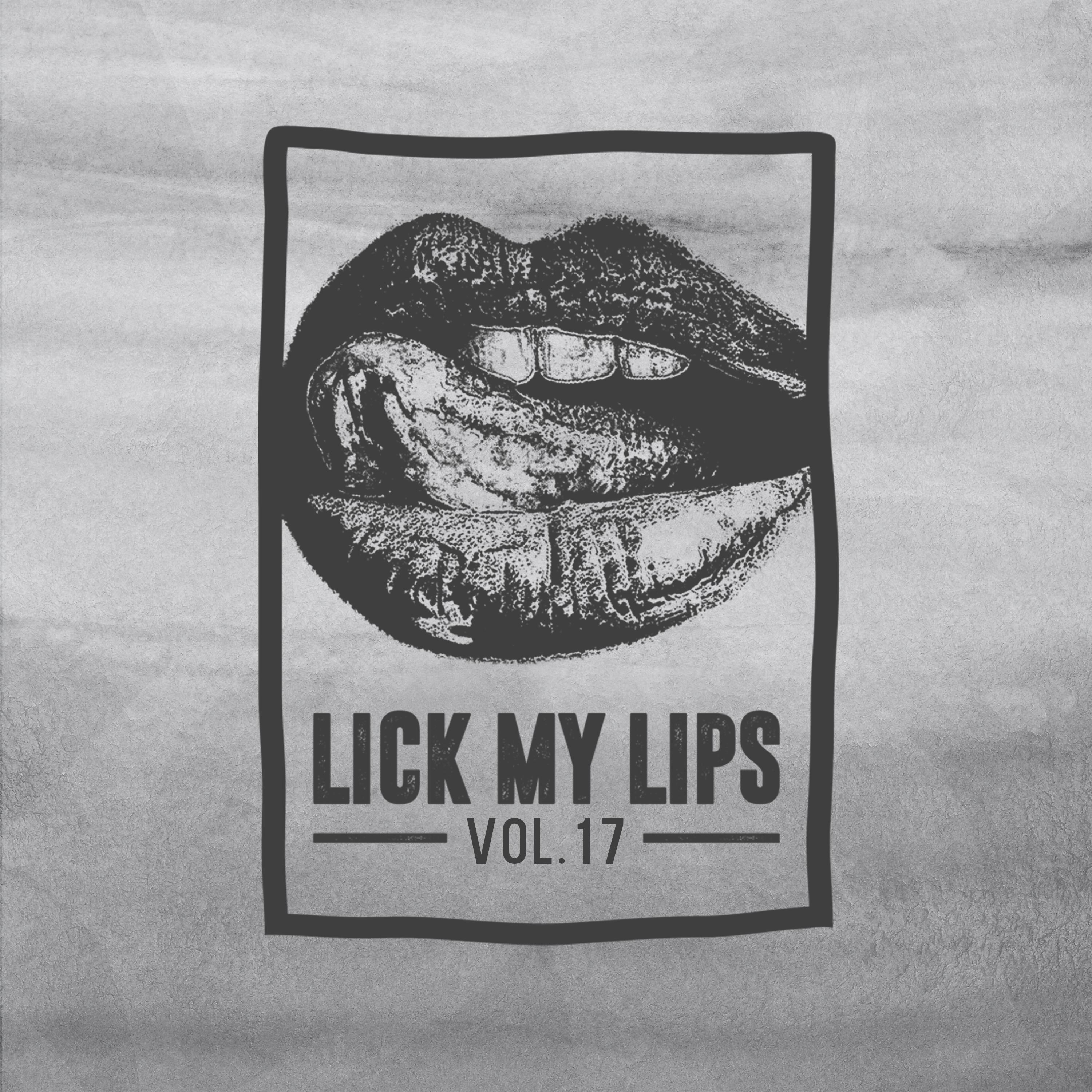 Постер альбома Lick My Lips, Vol. 17