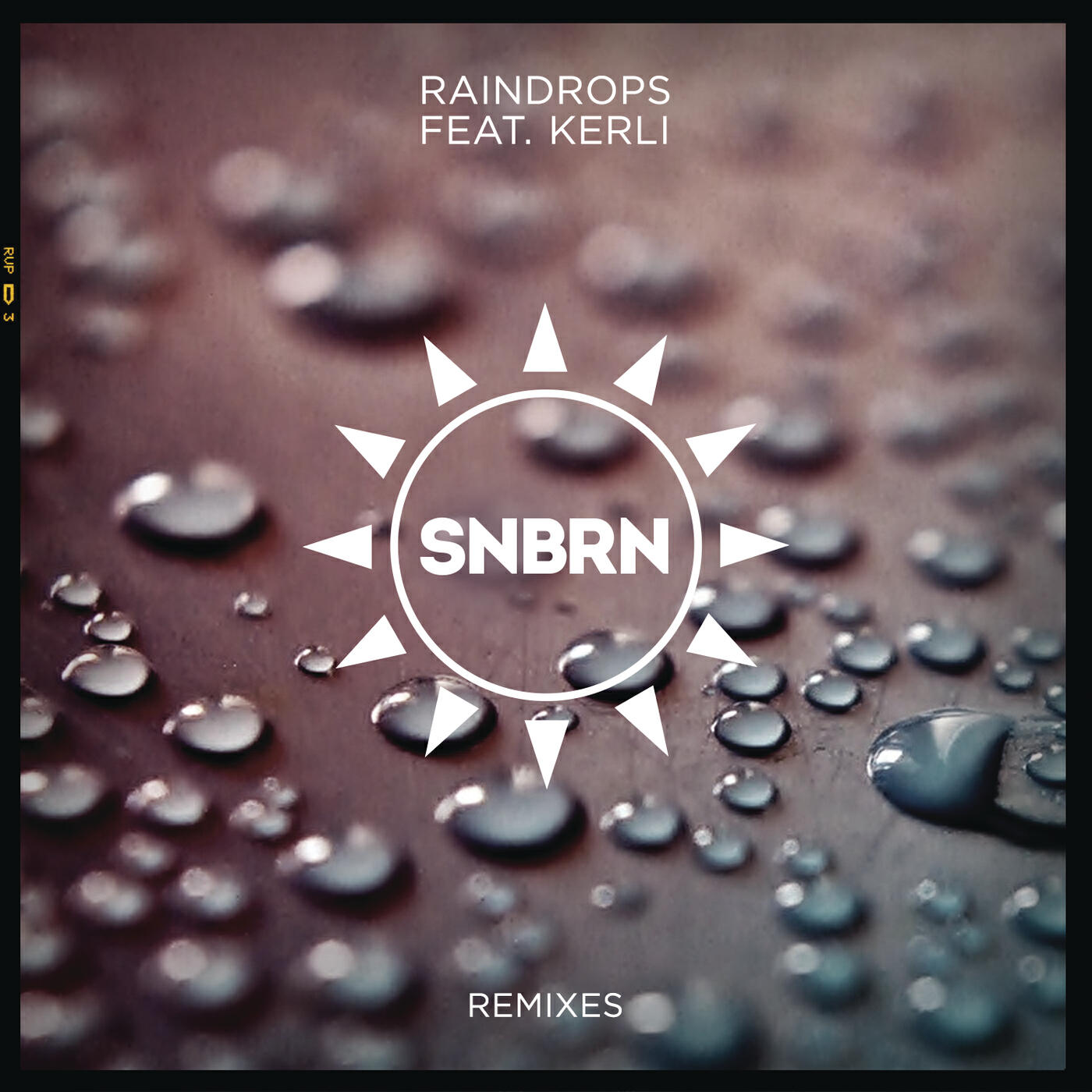 SNBRN - Raindrops (Mr. Belt & Wezol Remix)
