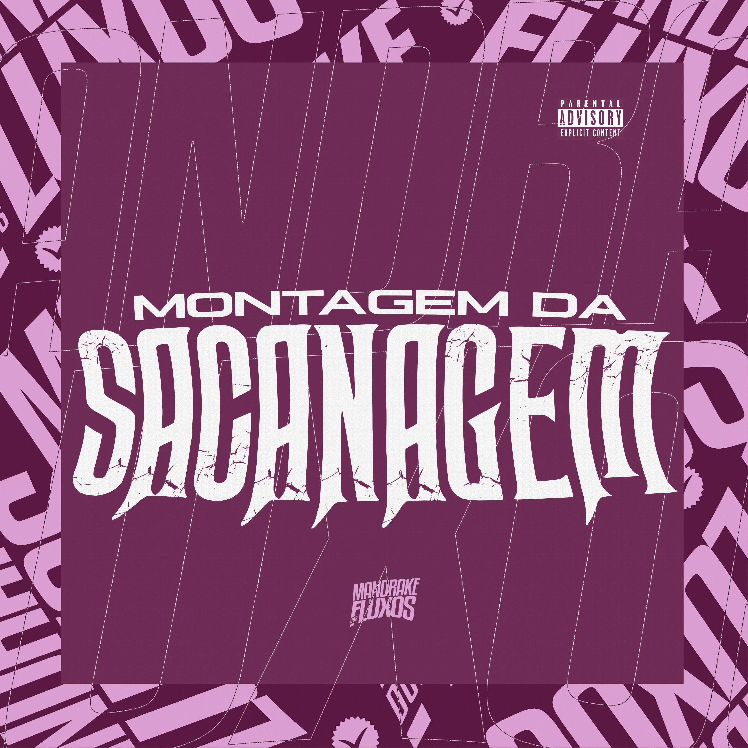 Постер альбома Montagem Da Sacanagem