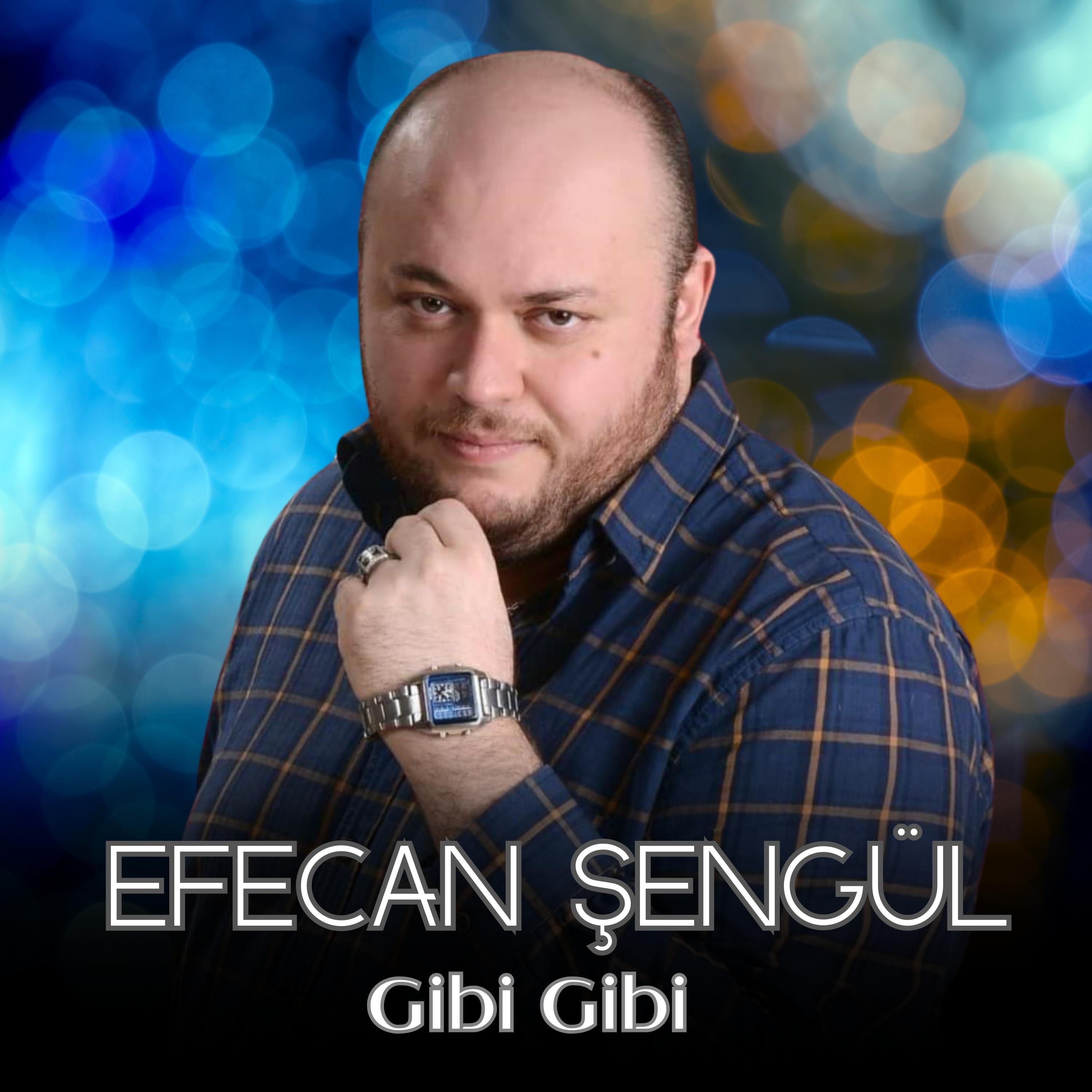 Постер альбома Gibi Gibi