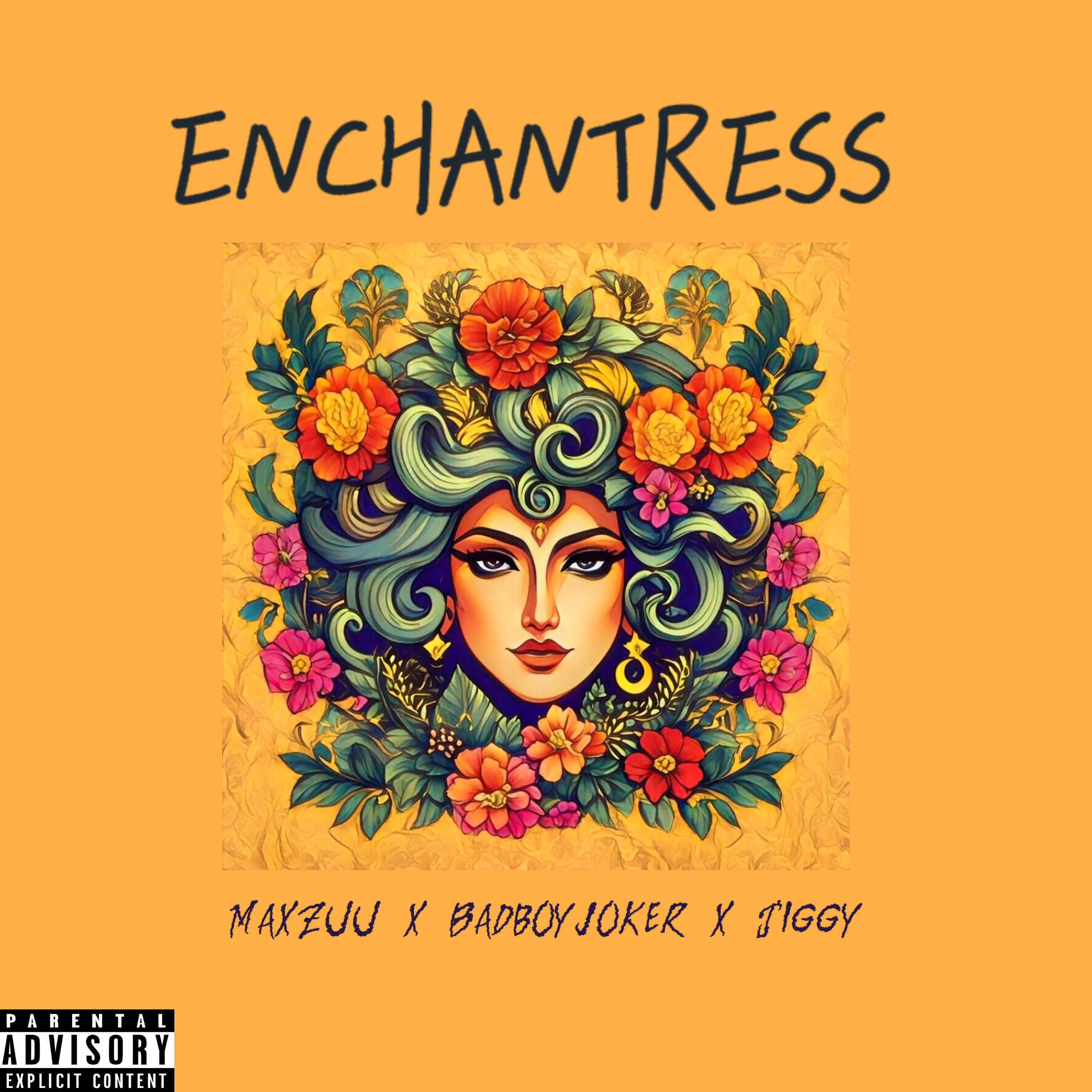 Постер альбома Enchantress