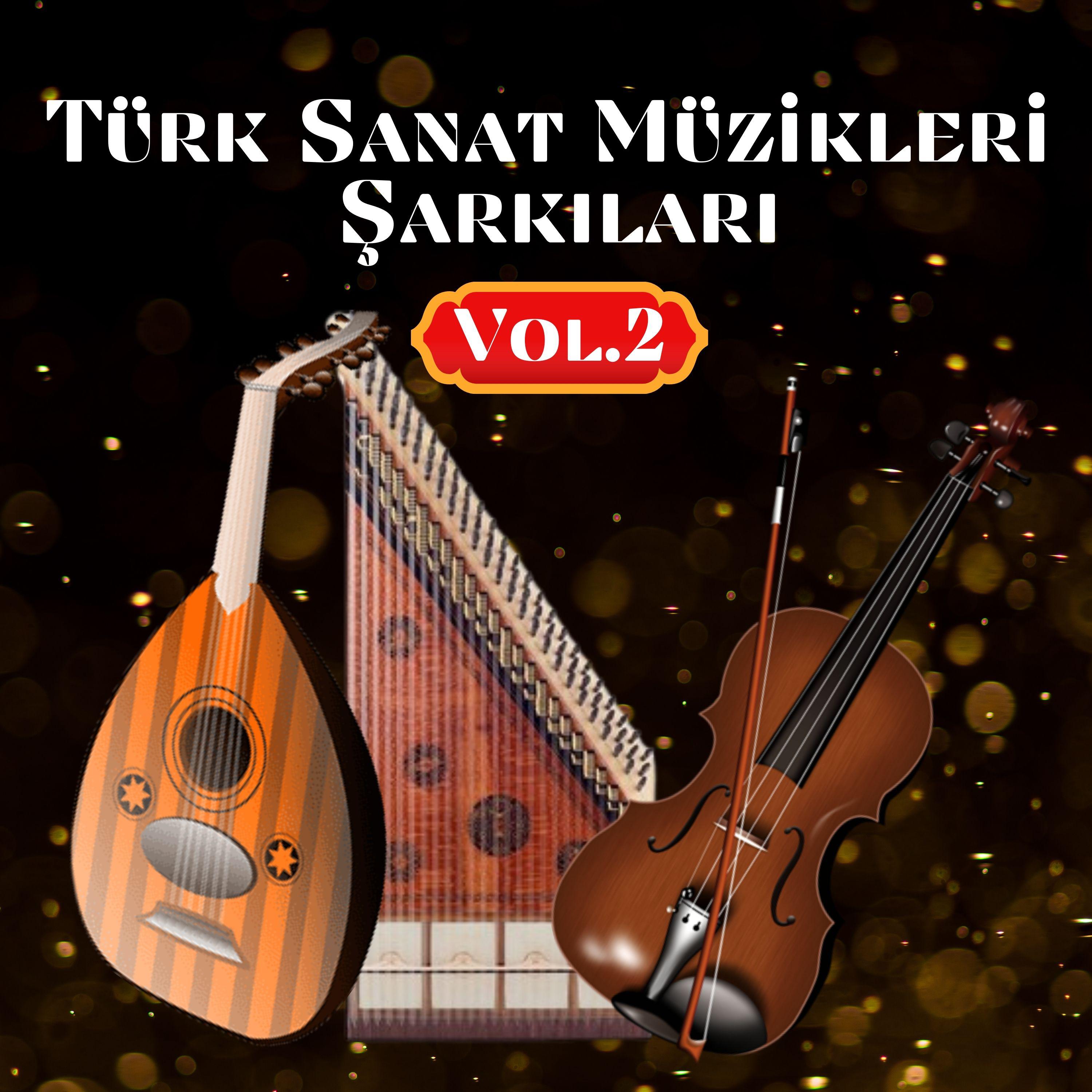 Постер альбома Türk Sanat Müzikleri Şarkıları