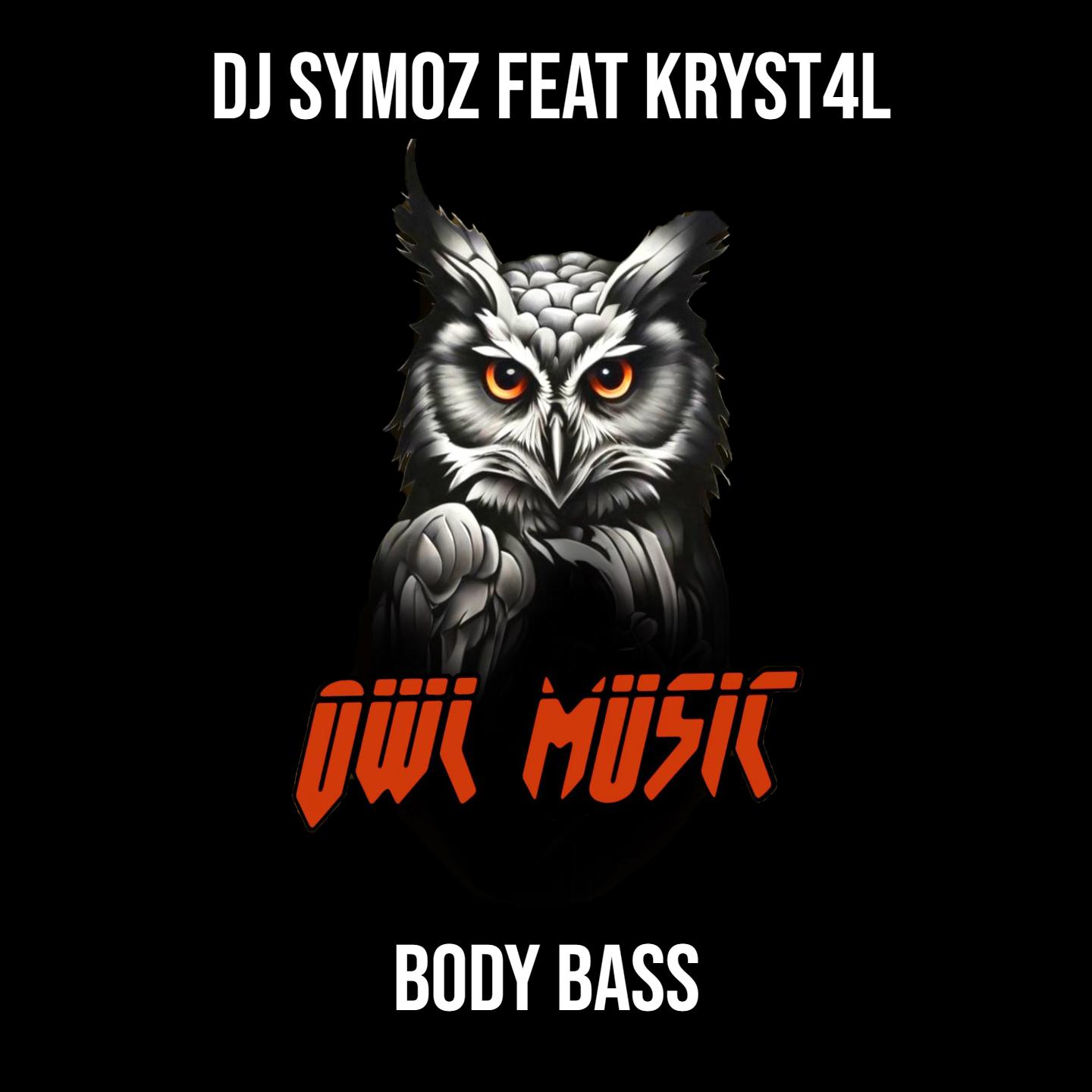 Постер альбома Body Bass