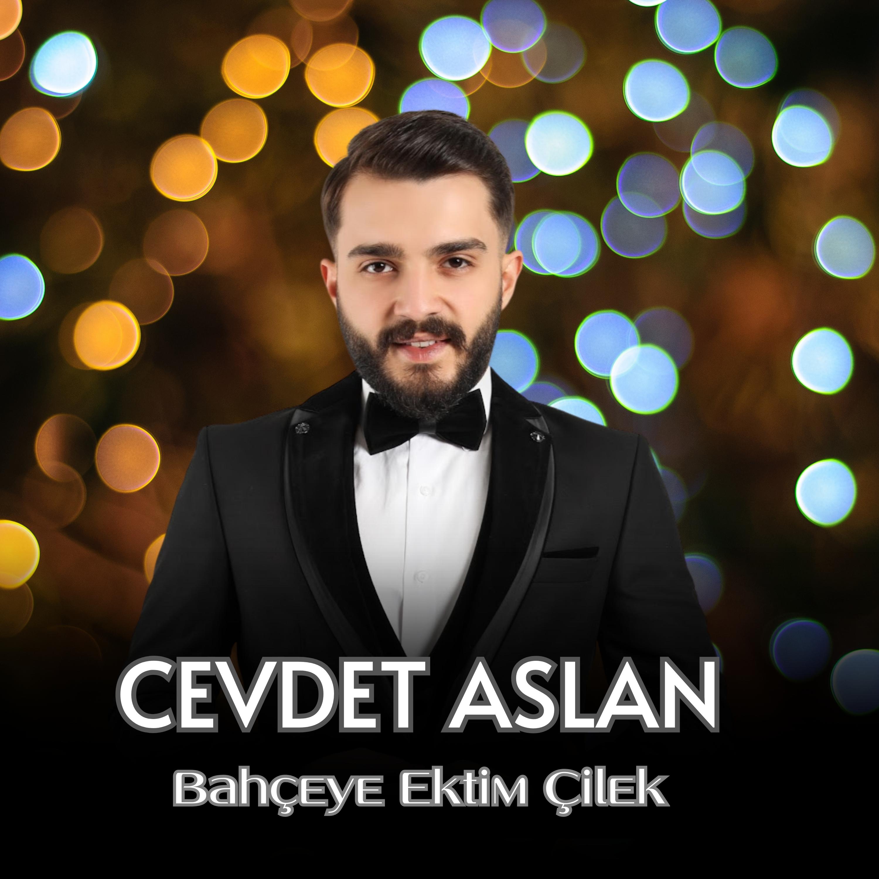 Постер альбома Bahçeye Ektim Çilek