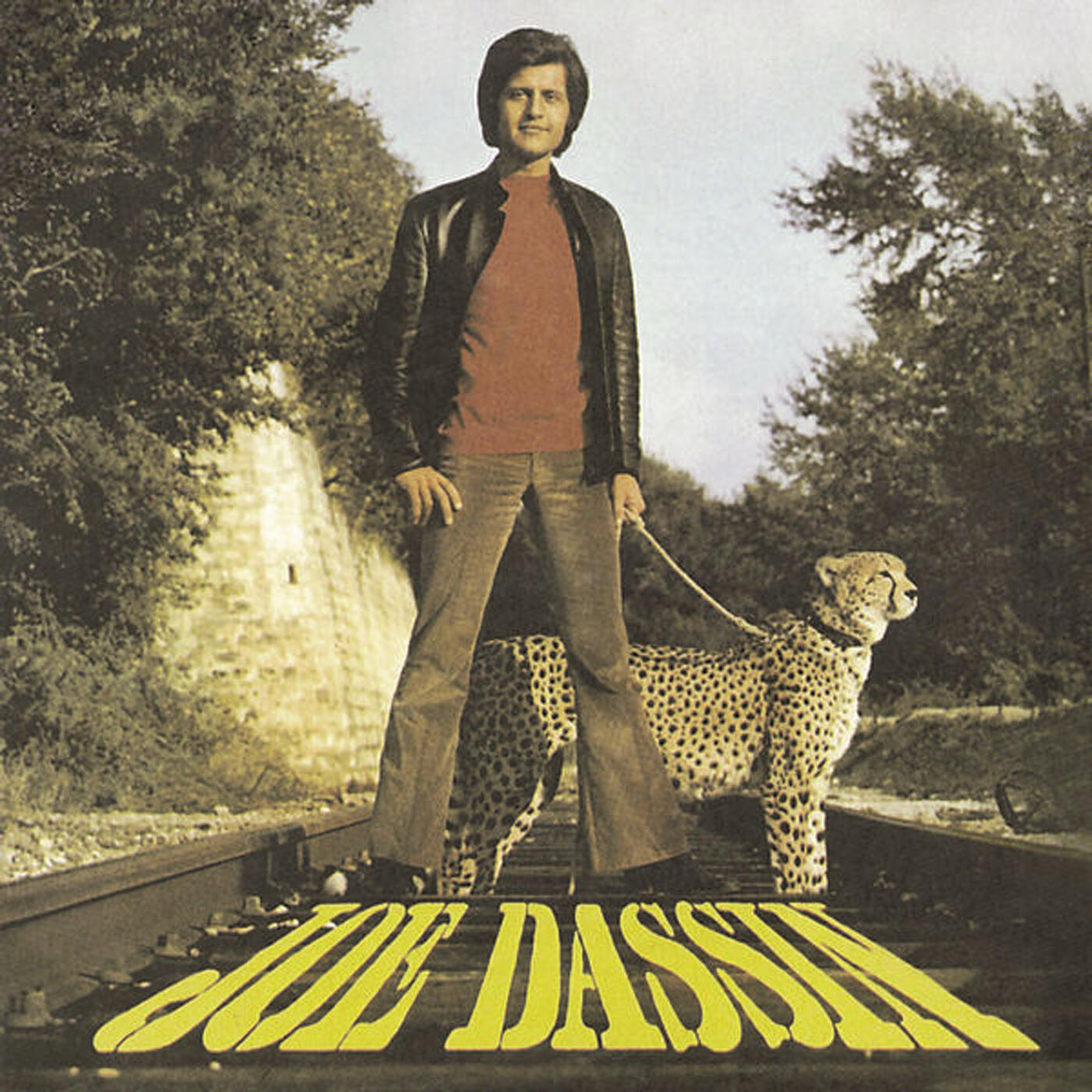 Joe Dassin - Le portugais