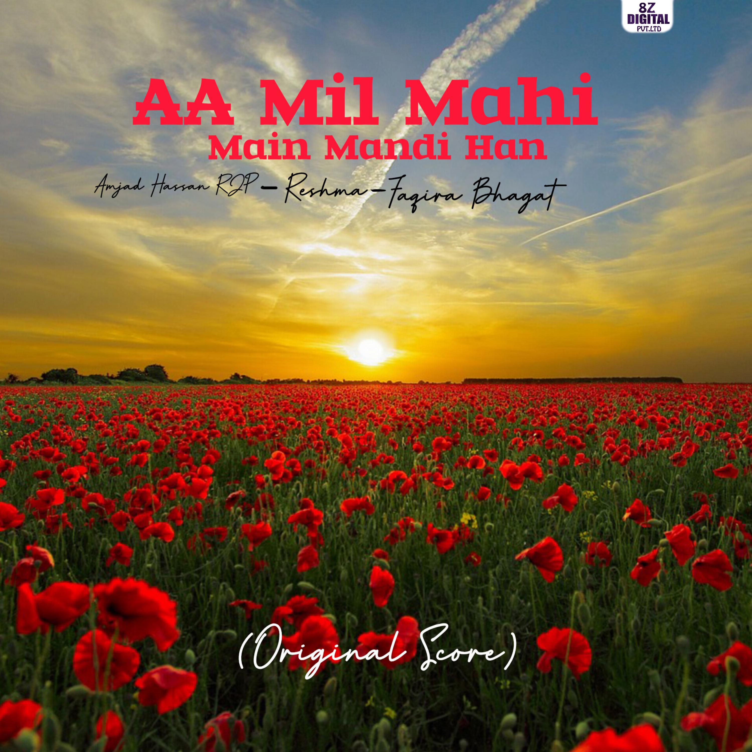 Постер альбома AA Mil Mahi Main Mandi Han