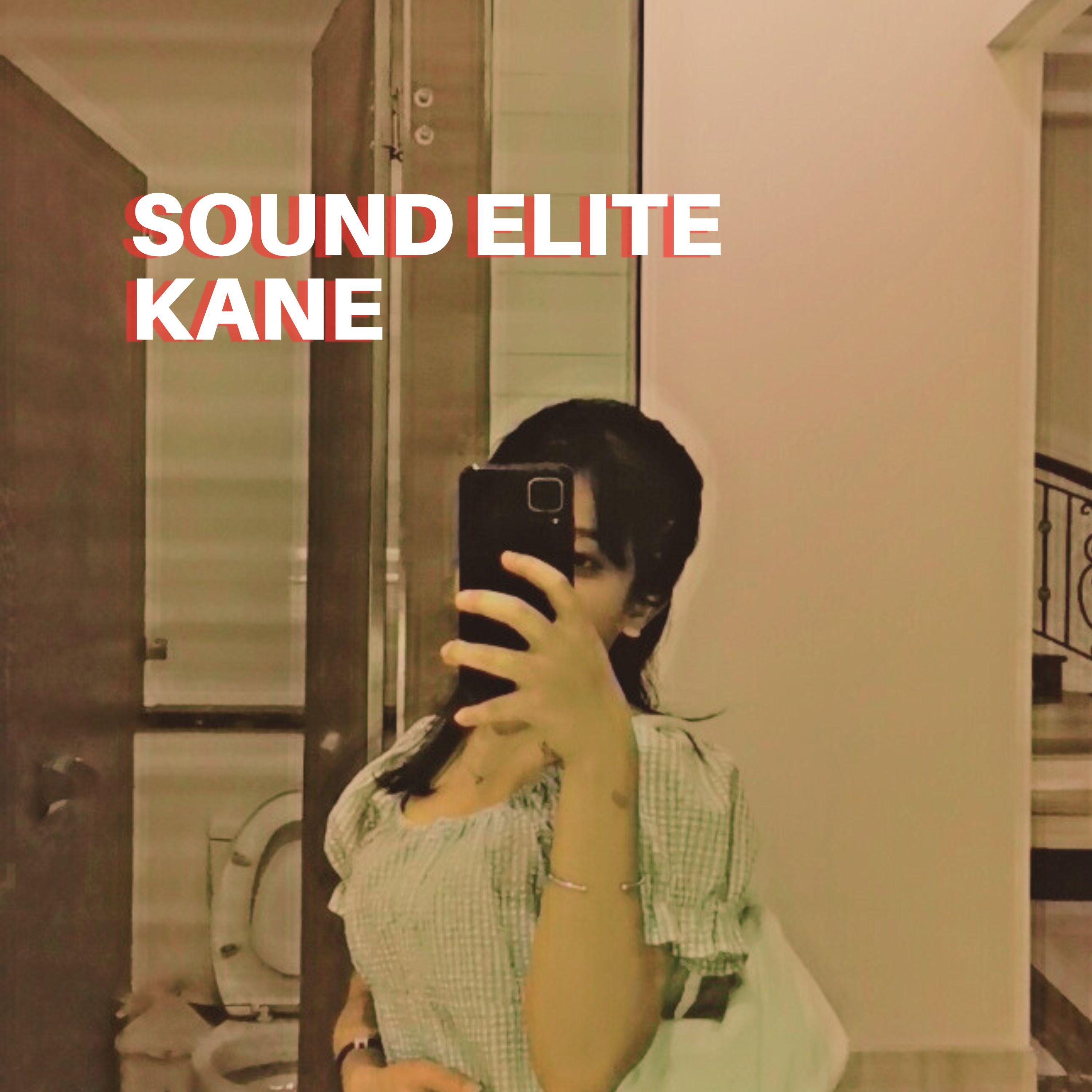 Постер альбома SOUND ELITE KANE