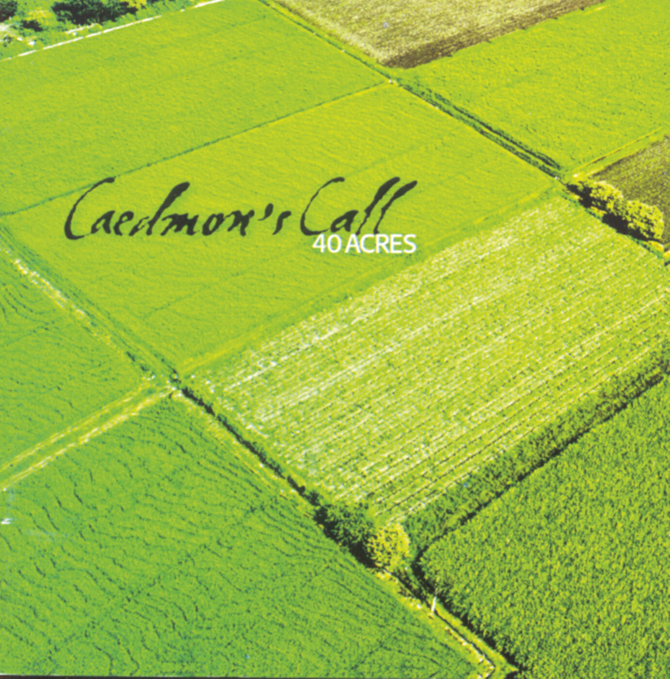 Caedmon's Call - There You Go