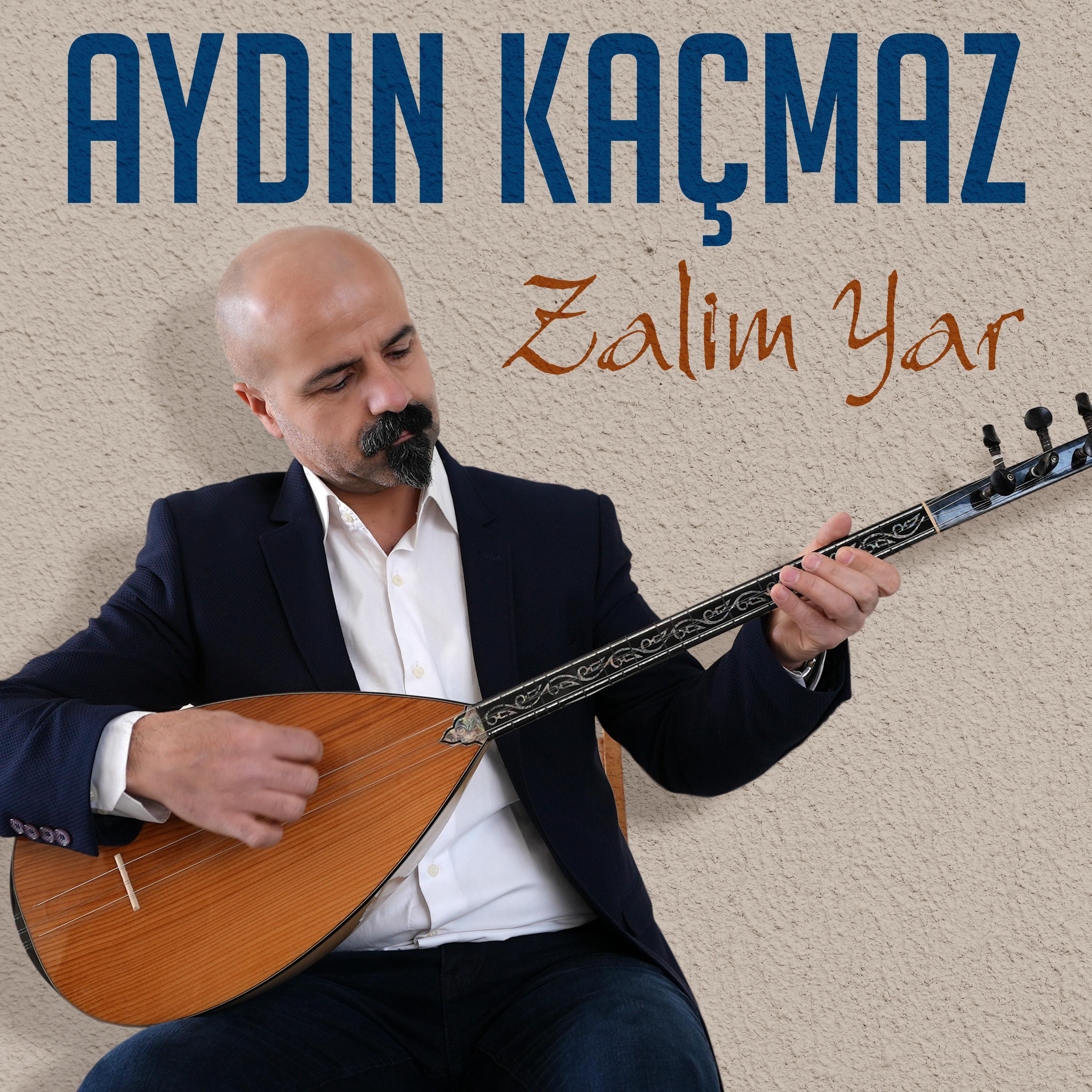 Постер альбома Zalim Yar