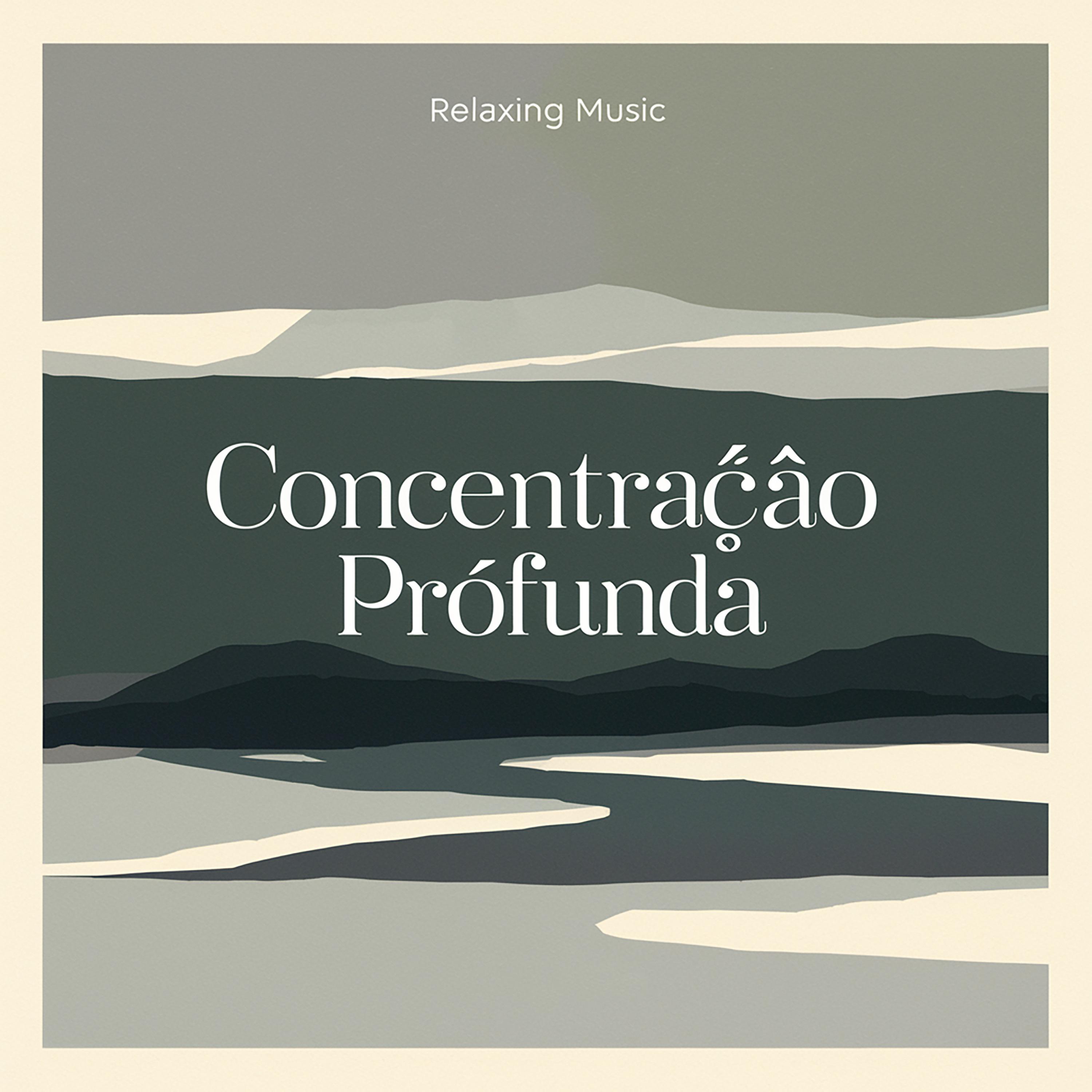 Постер альбома Concentração Profunda