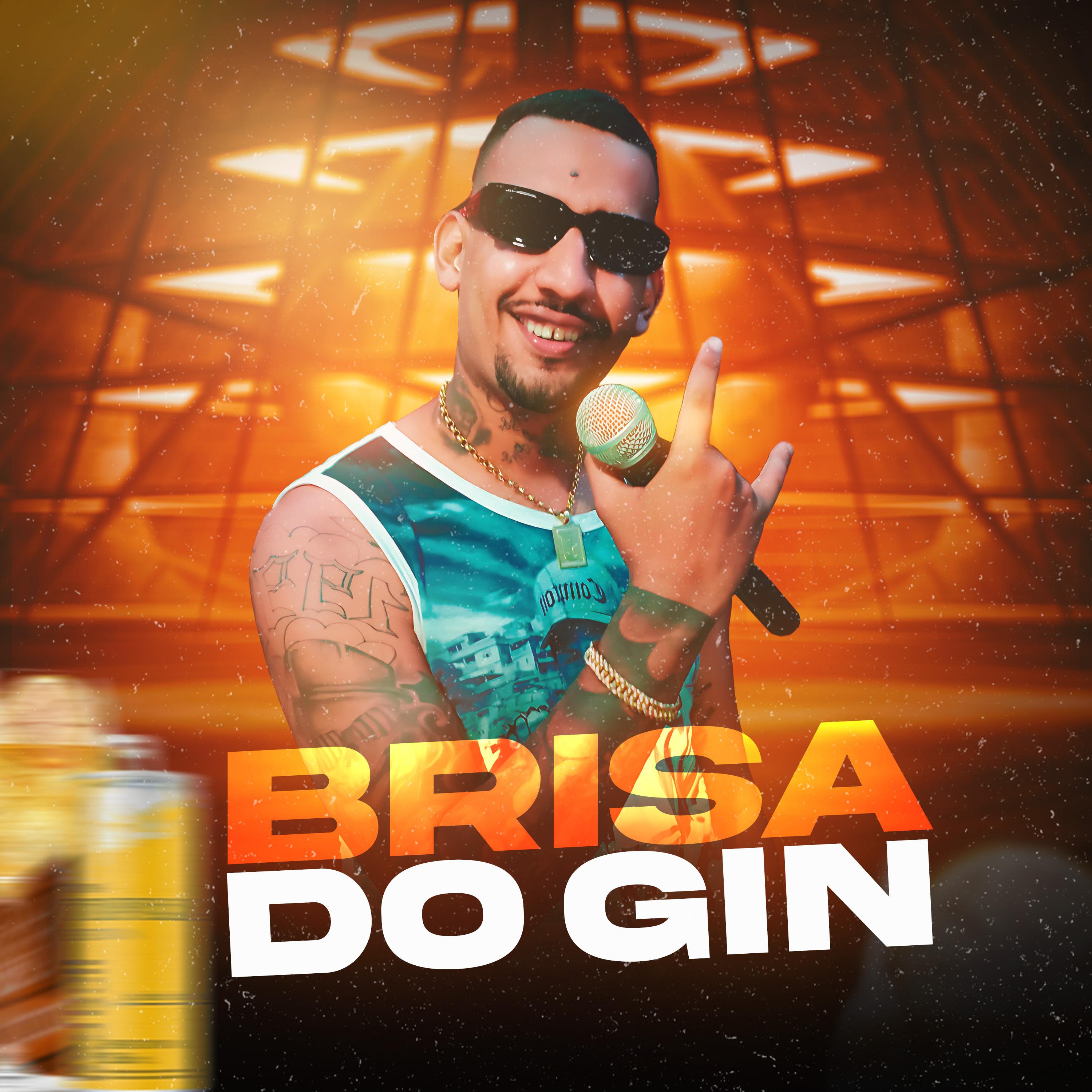 Постер альбома Brisa do Gin
