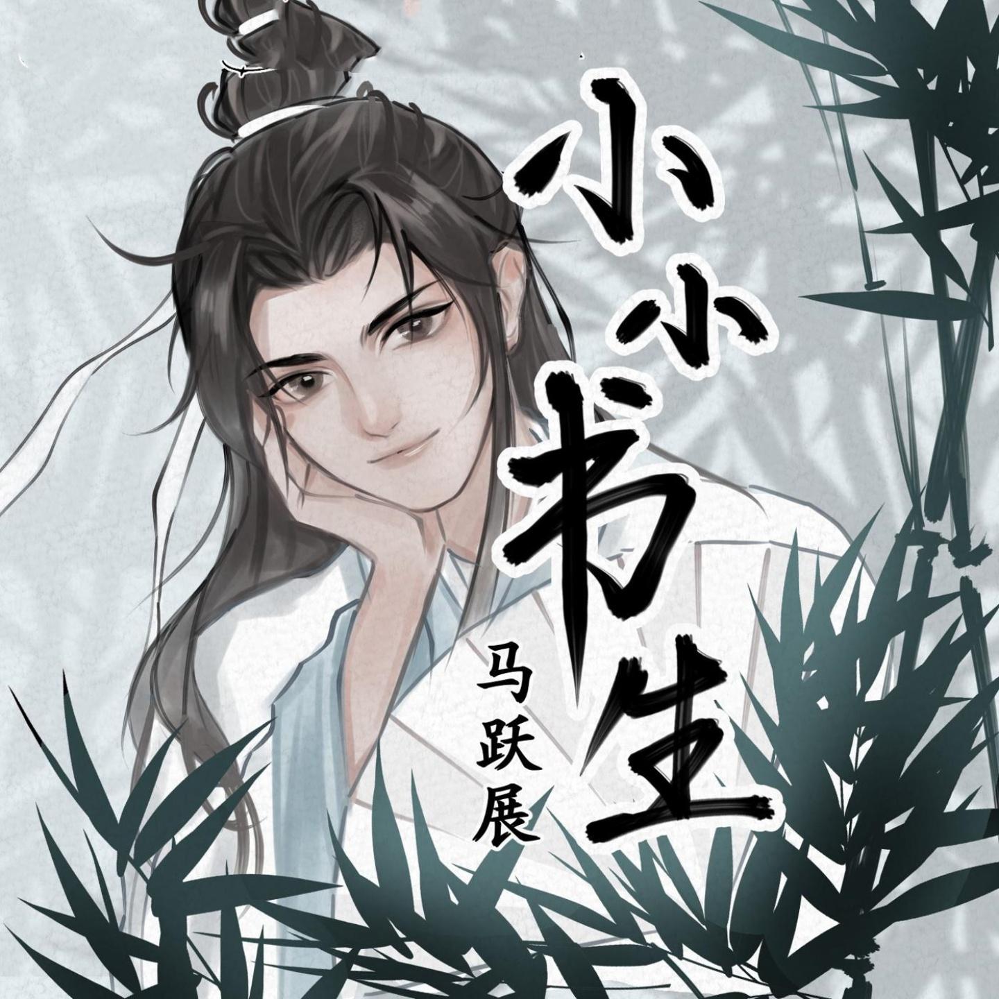 Постер альбома 小小书生