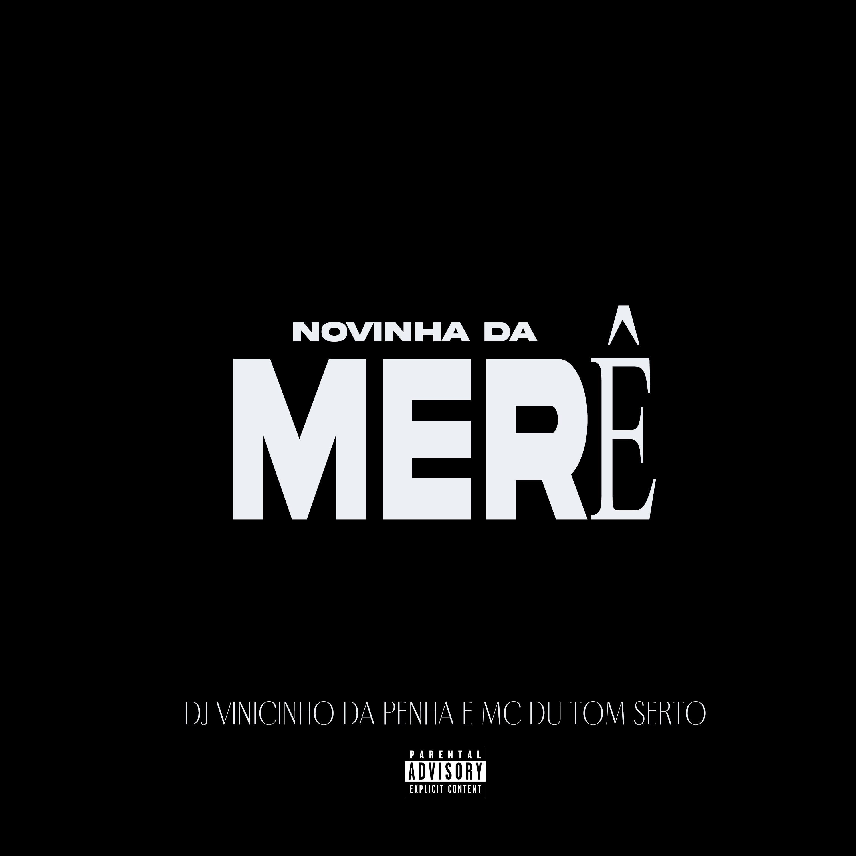 Постер альбома Novinha da Merê