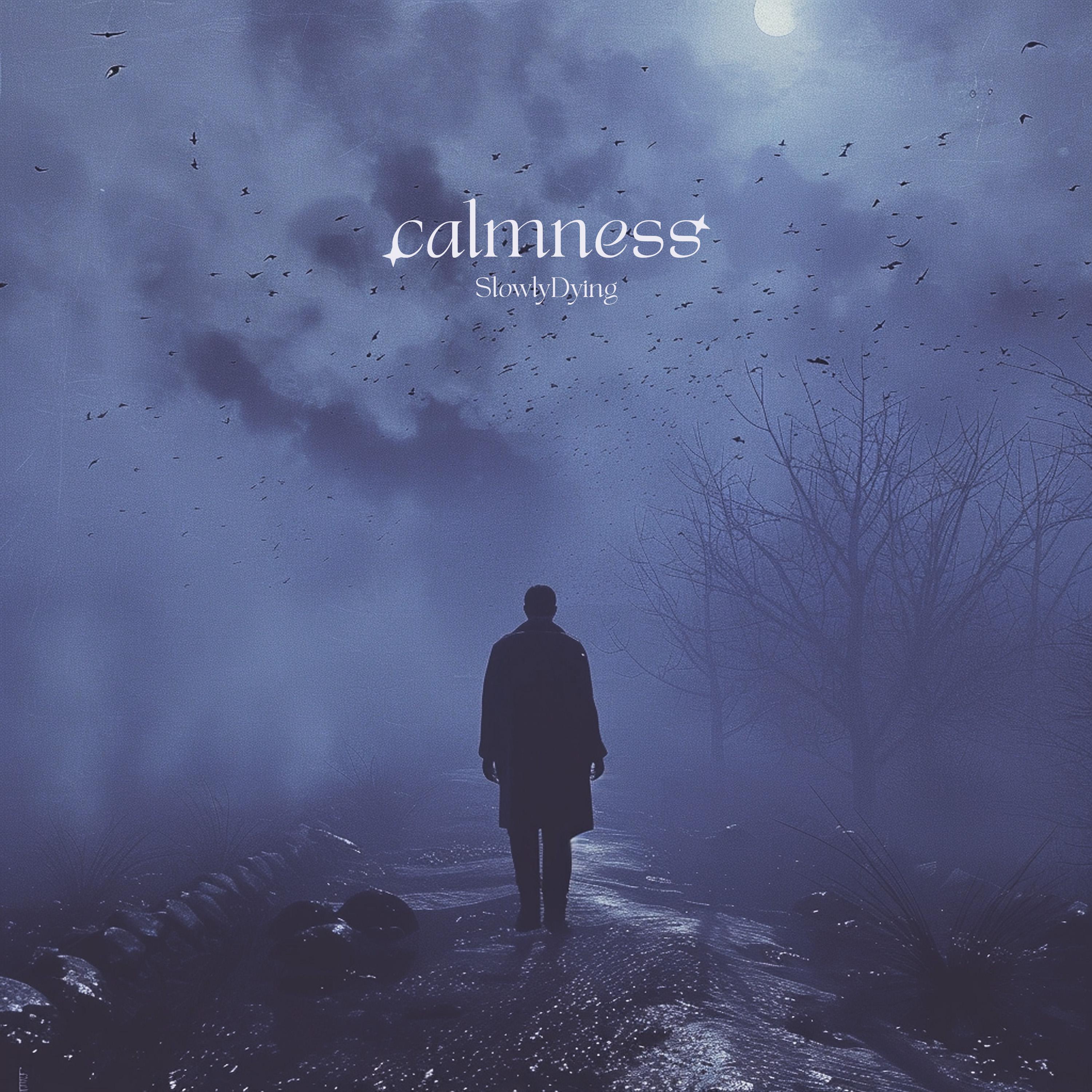 Постер альбома calmness