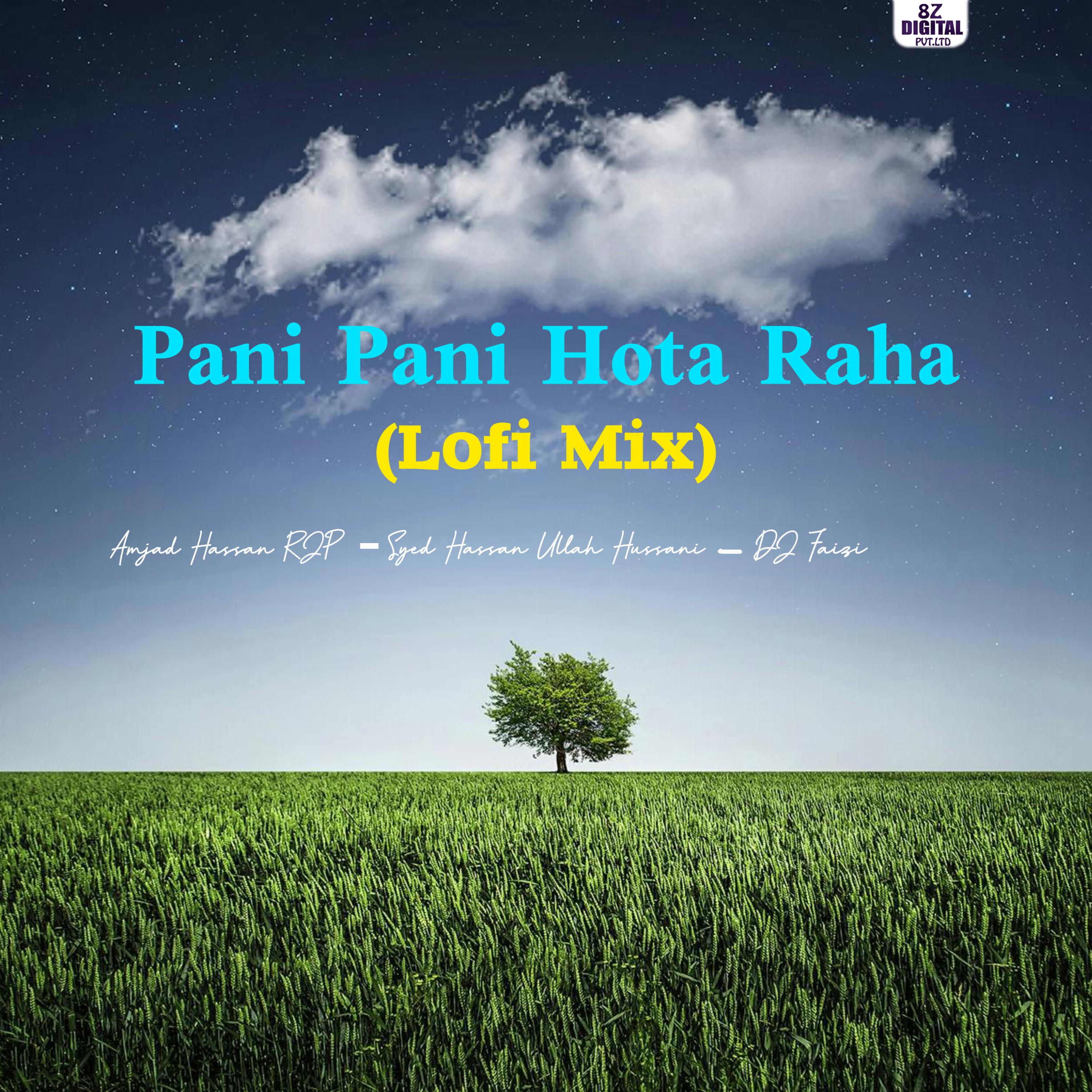 Постер альбома Pani Pani Hota Raha