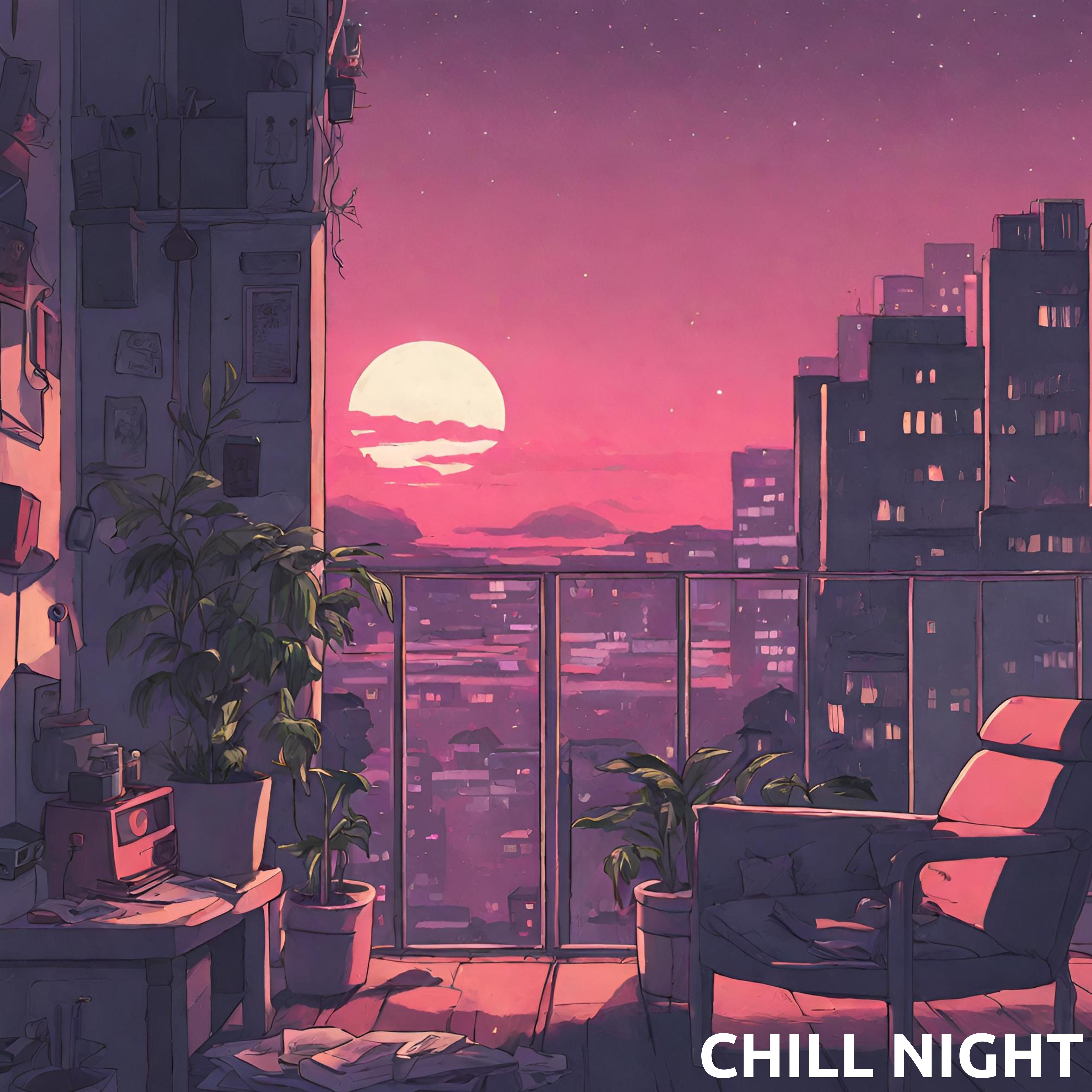 Постер альбома Chill Night