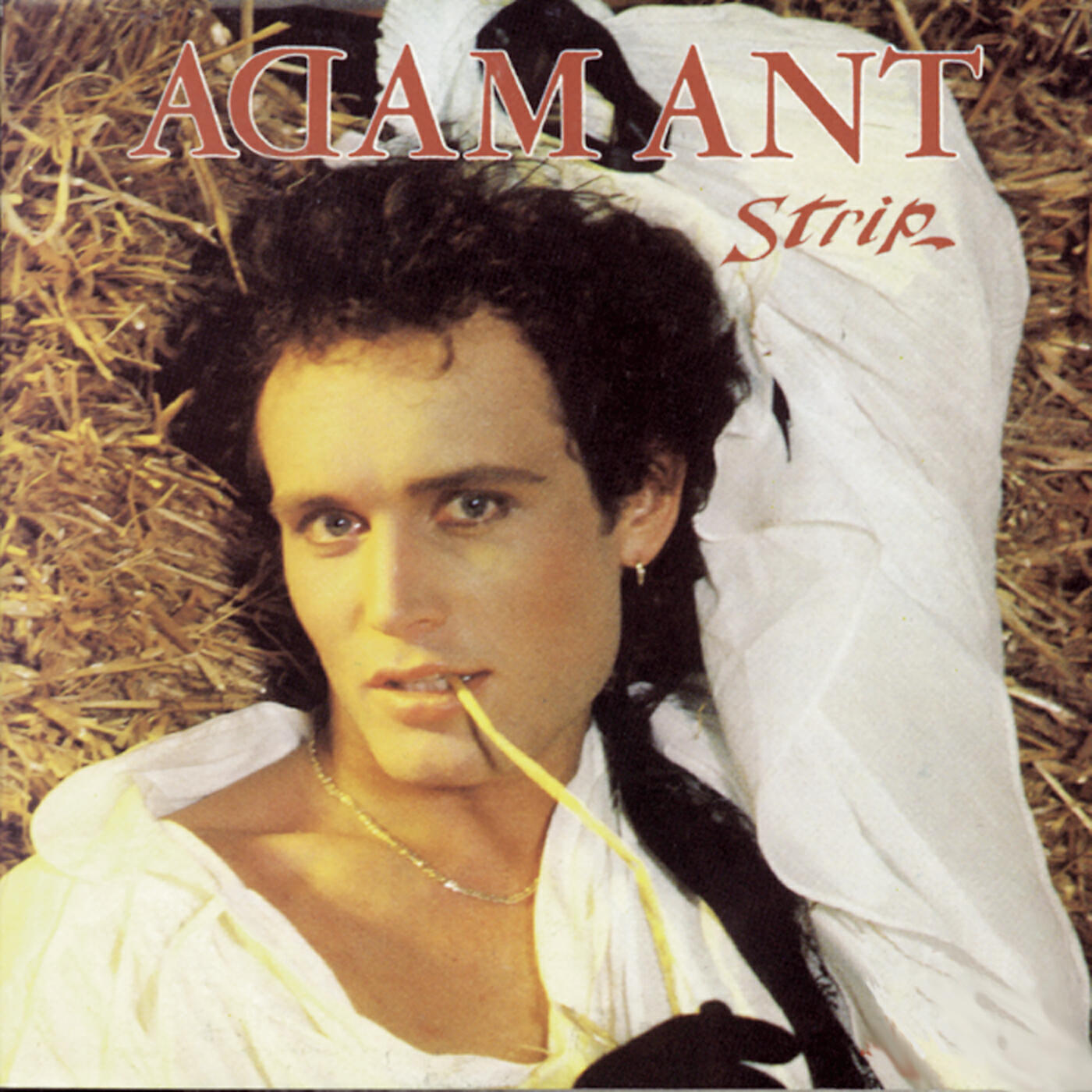 Adam Ant - Navel To Neck
