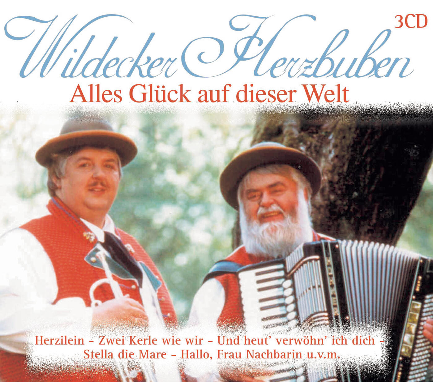 Die Wildecker Herzbuben - Die Wirtin von der Alm