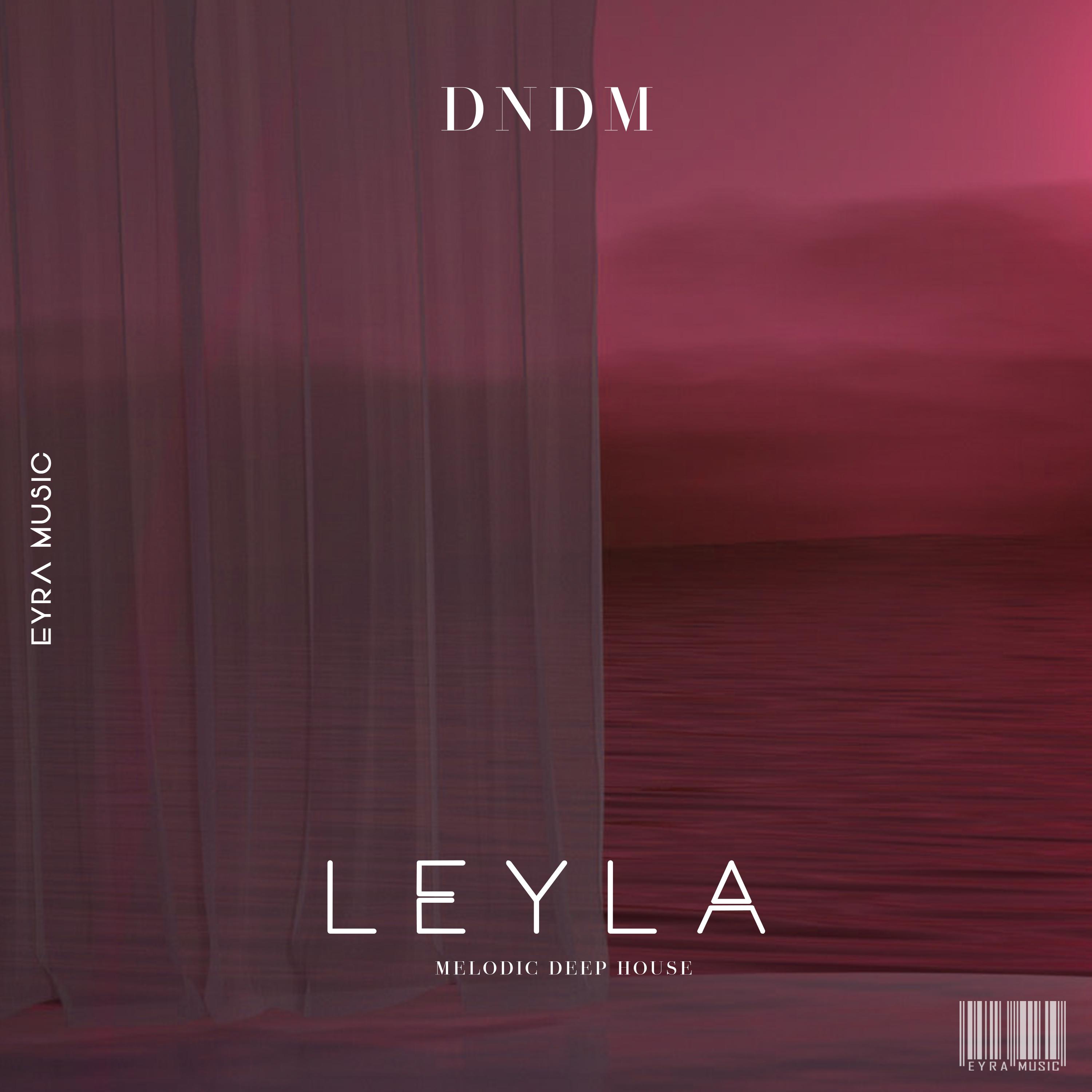 Постер альбома Leyla (Taoufik Remix)
