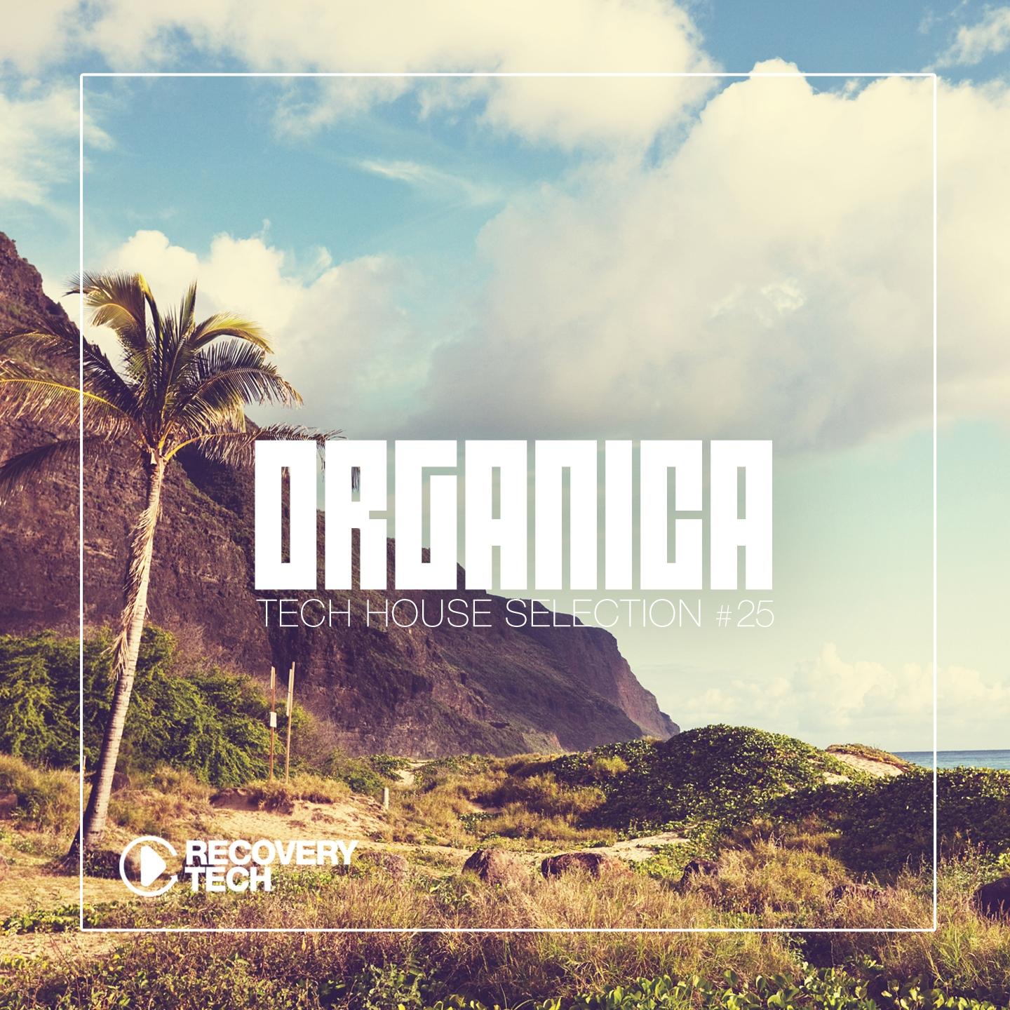 Постер альбома Organica #25