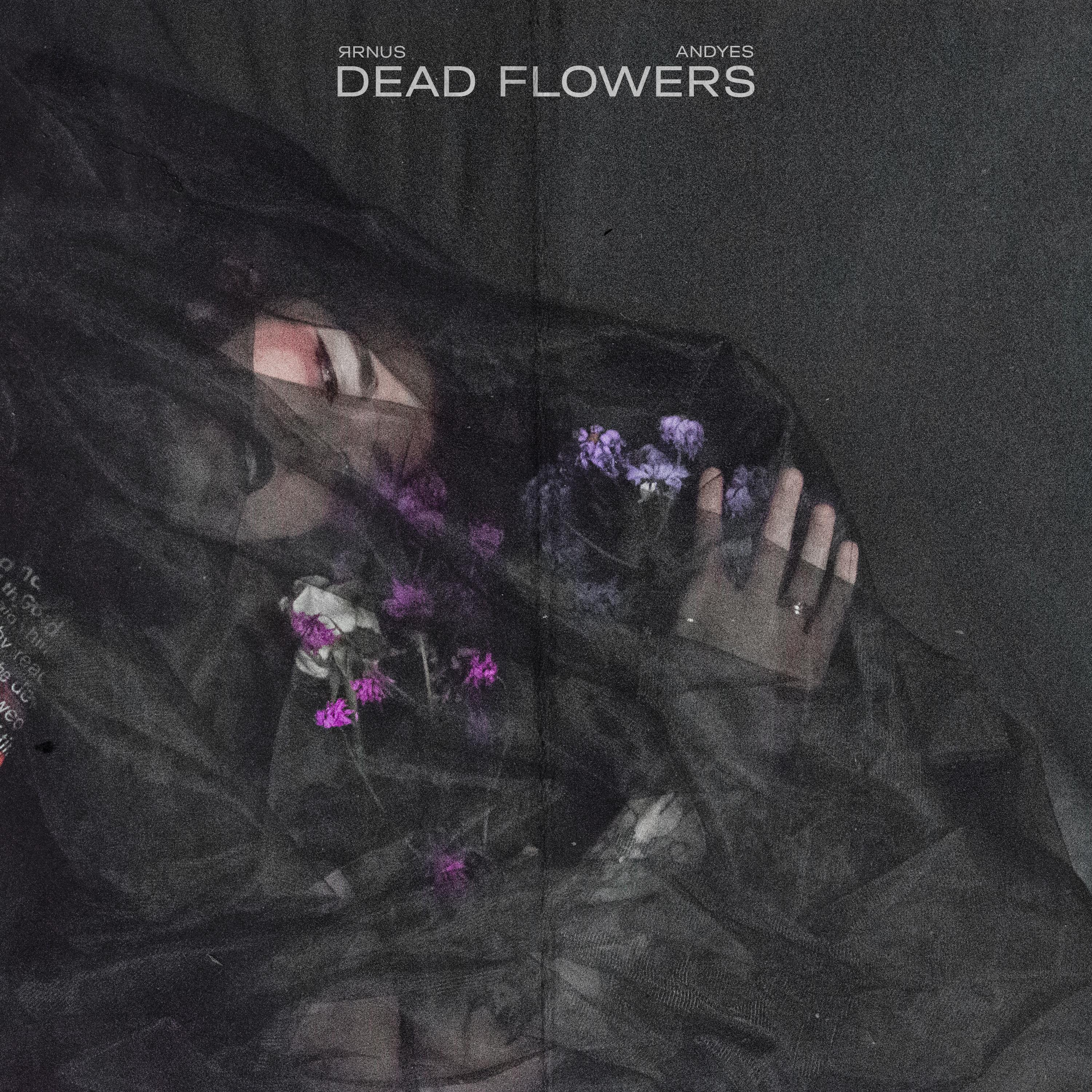 Постер альбома Dead flowers