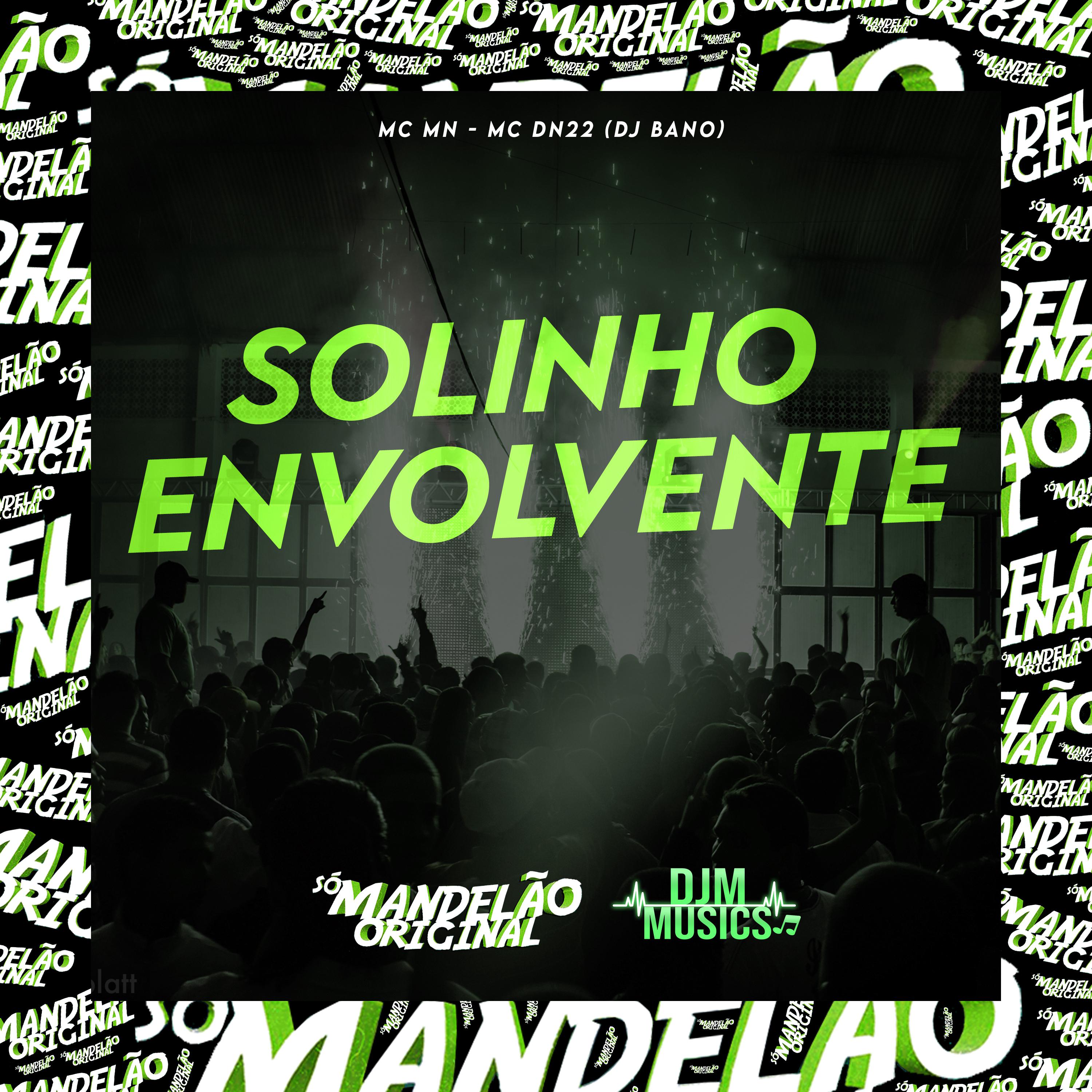 Постер альбома Solinho Envolvente