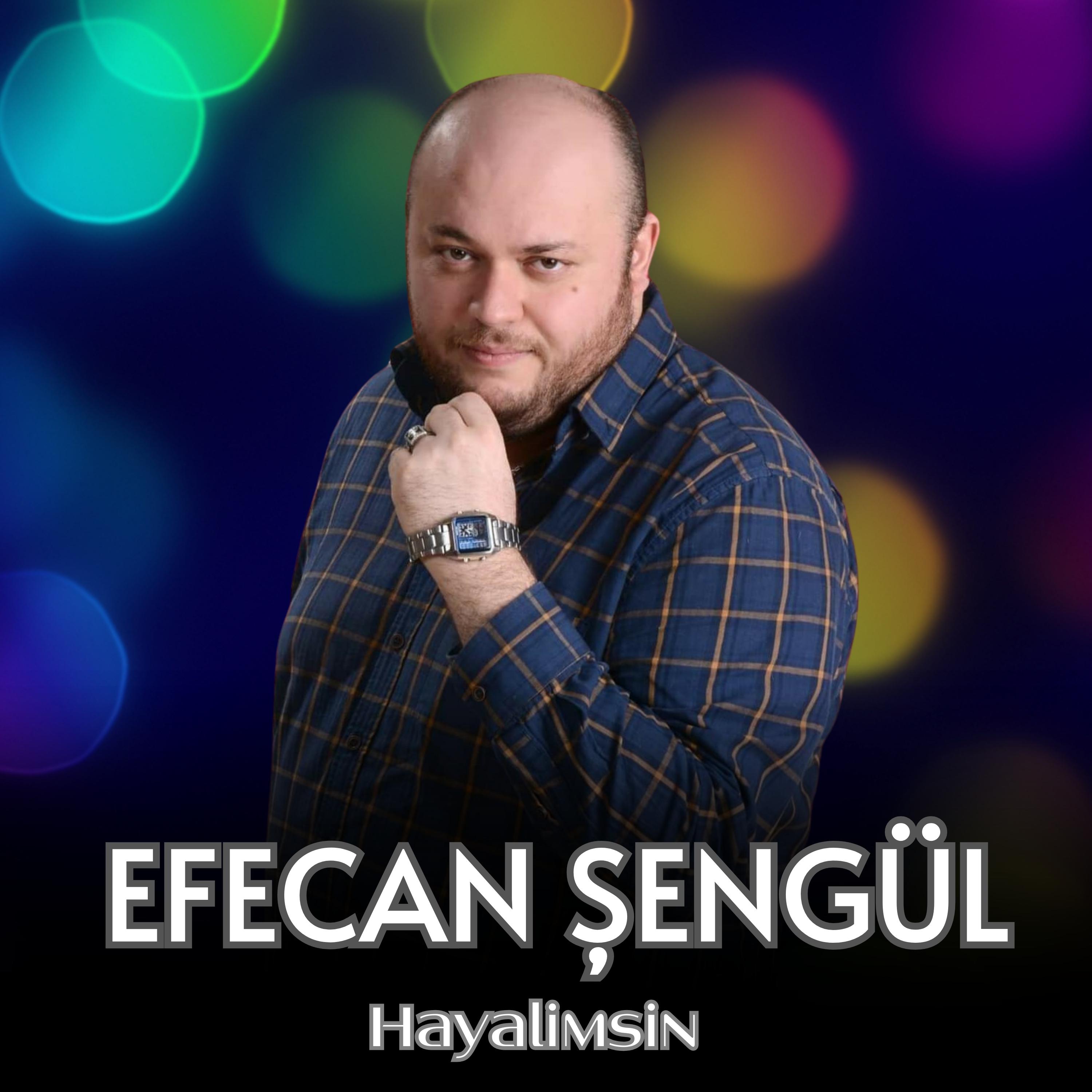 Постер альбома Hayalimsin
