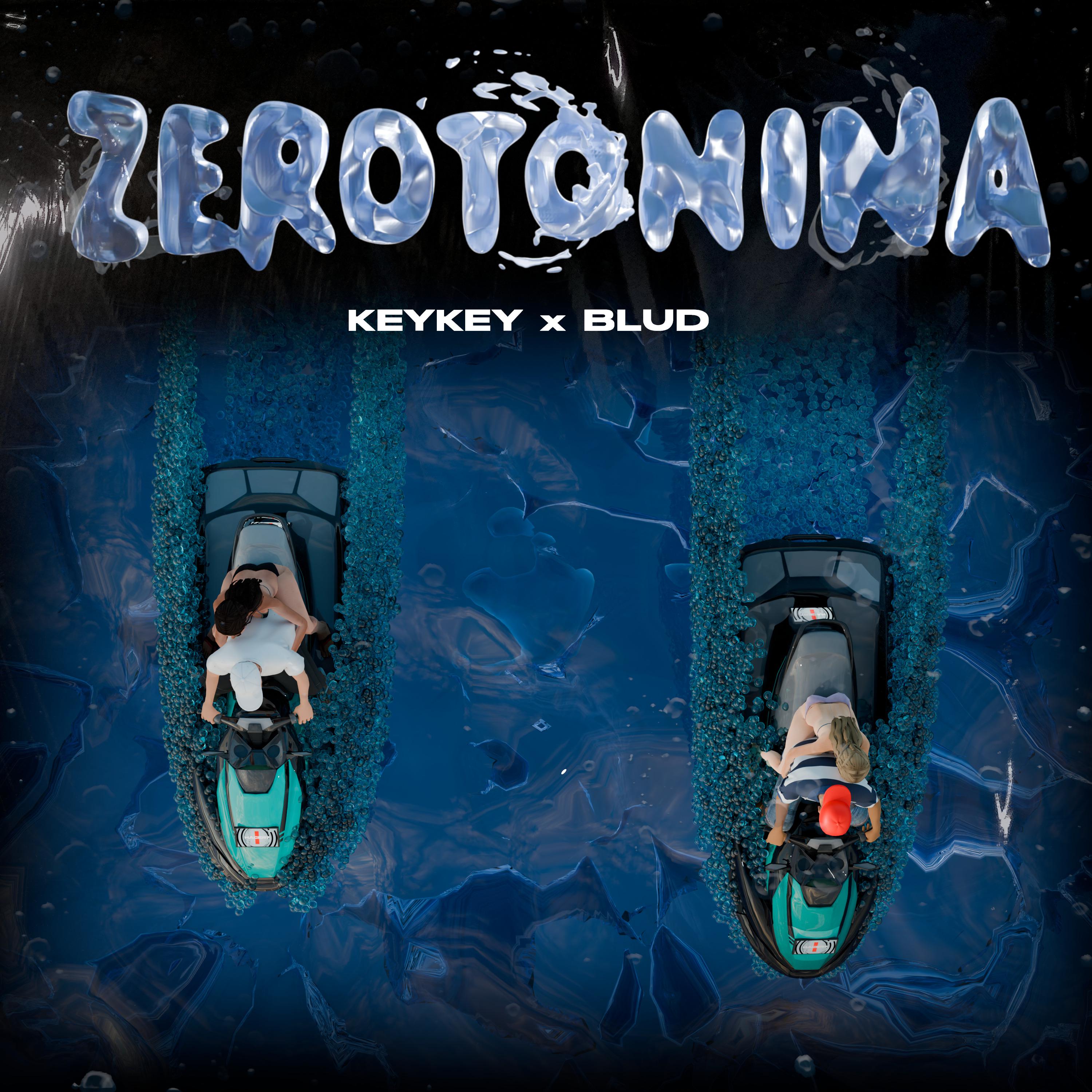 Постер альбома Zerotonina