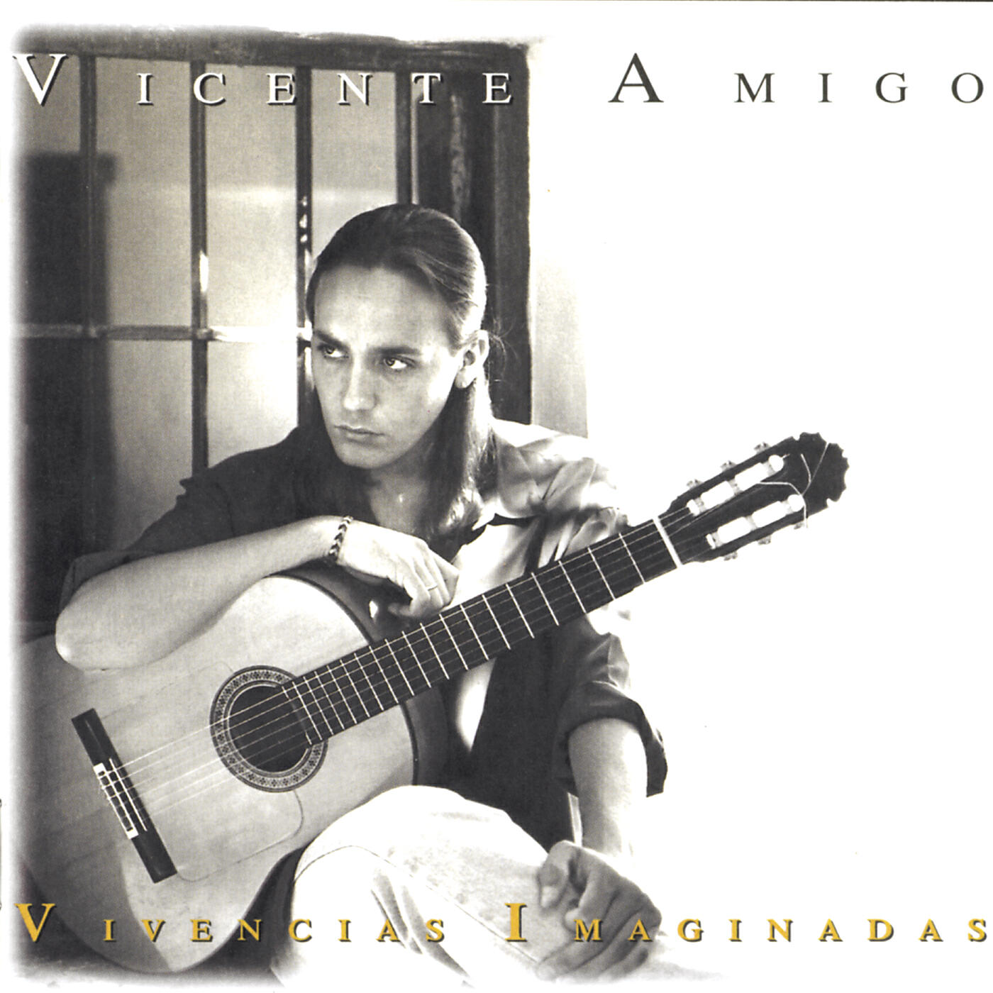 Vicente Amigo - Sierra Del Agua (Rondeña) a Jesús, Brígida y mis padres (Album Version)