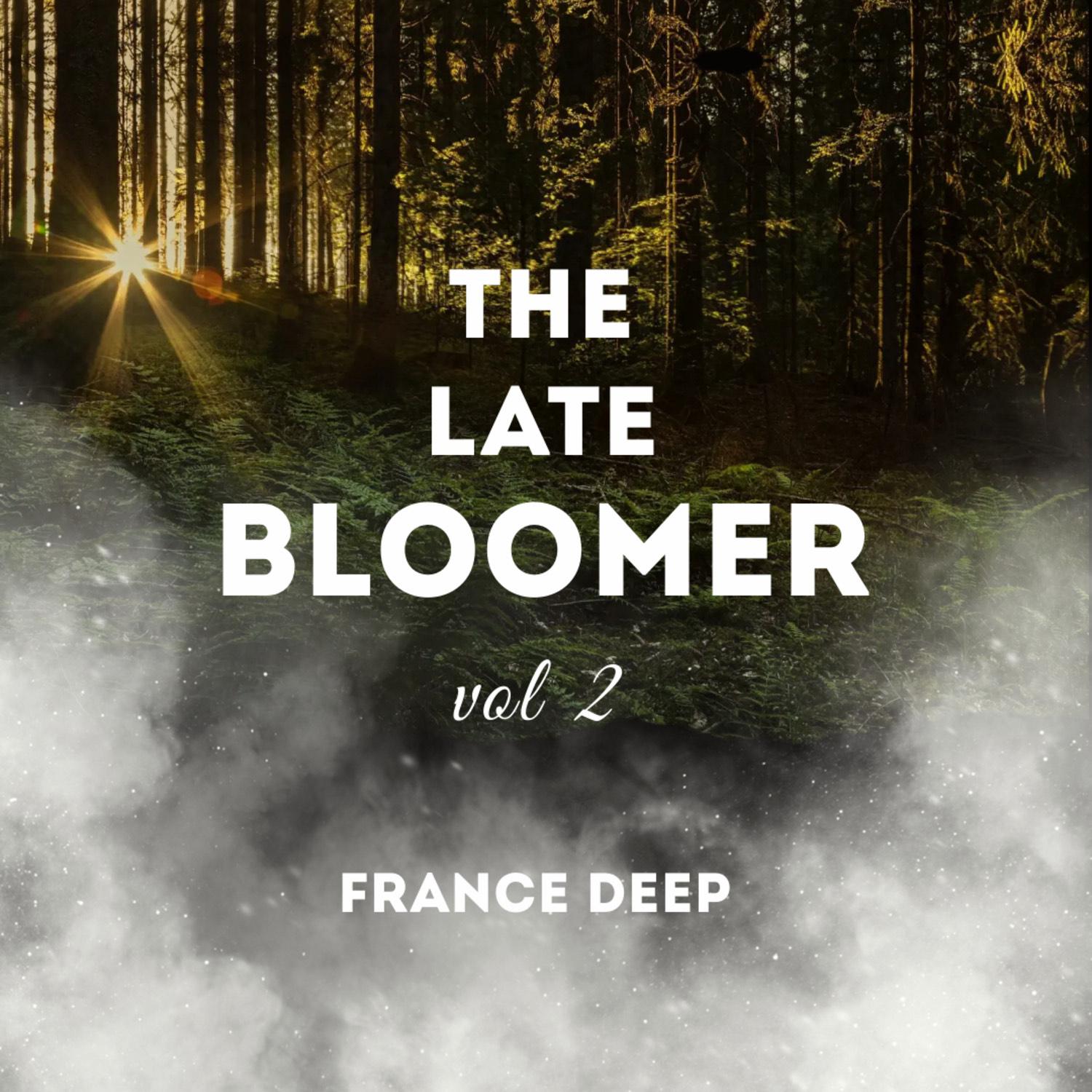 Постер альбома The Late Bloomer, Vol. 2