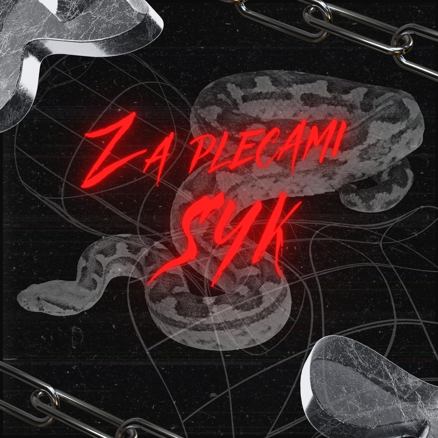 Постер альбома Za plecami syk